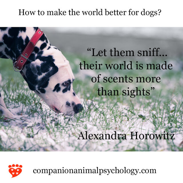 Let your dog sniff! (Companion Animal Psychology)