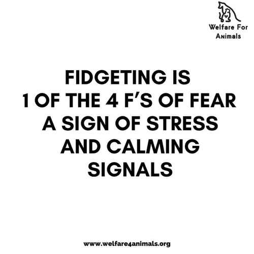 The 4F’s of Fear- Fear Responses — Welfare For Animals