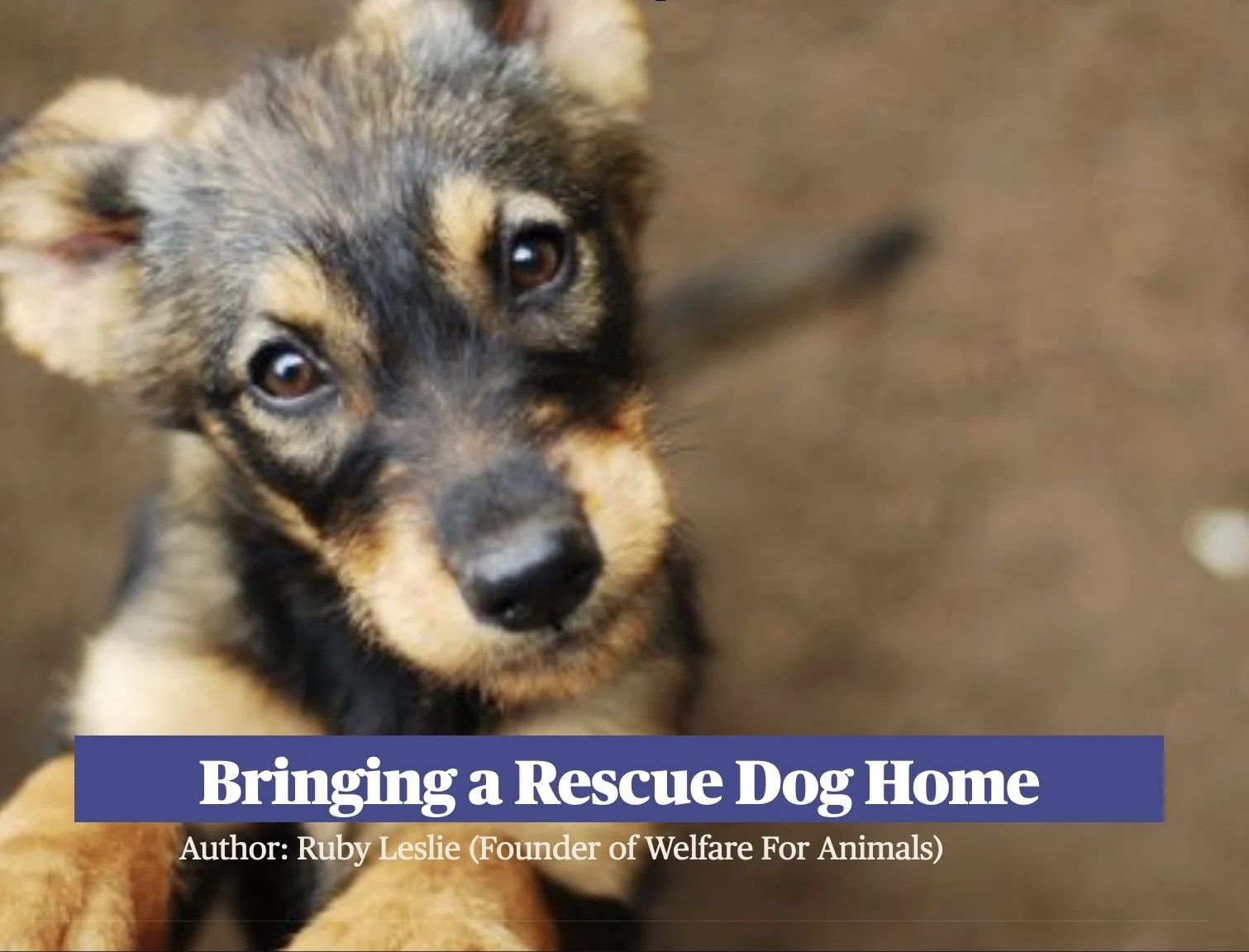 WechatIMG3371 2.jpeg