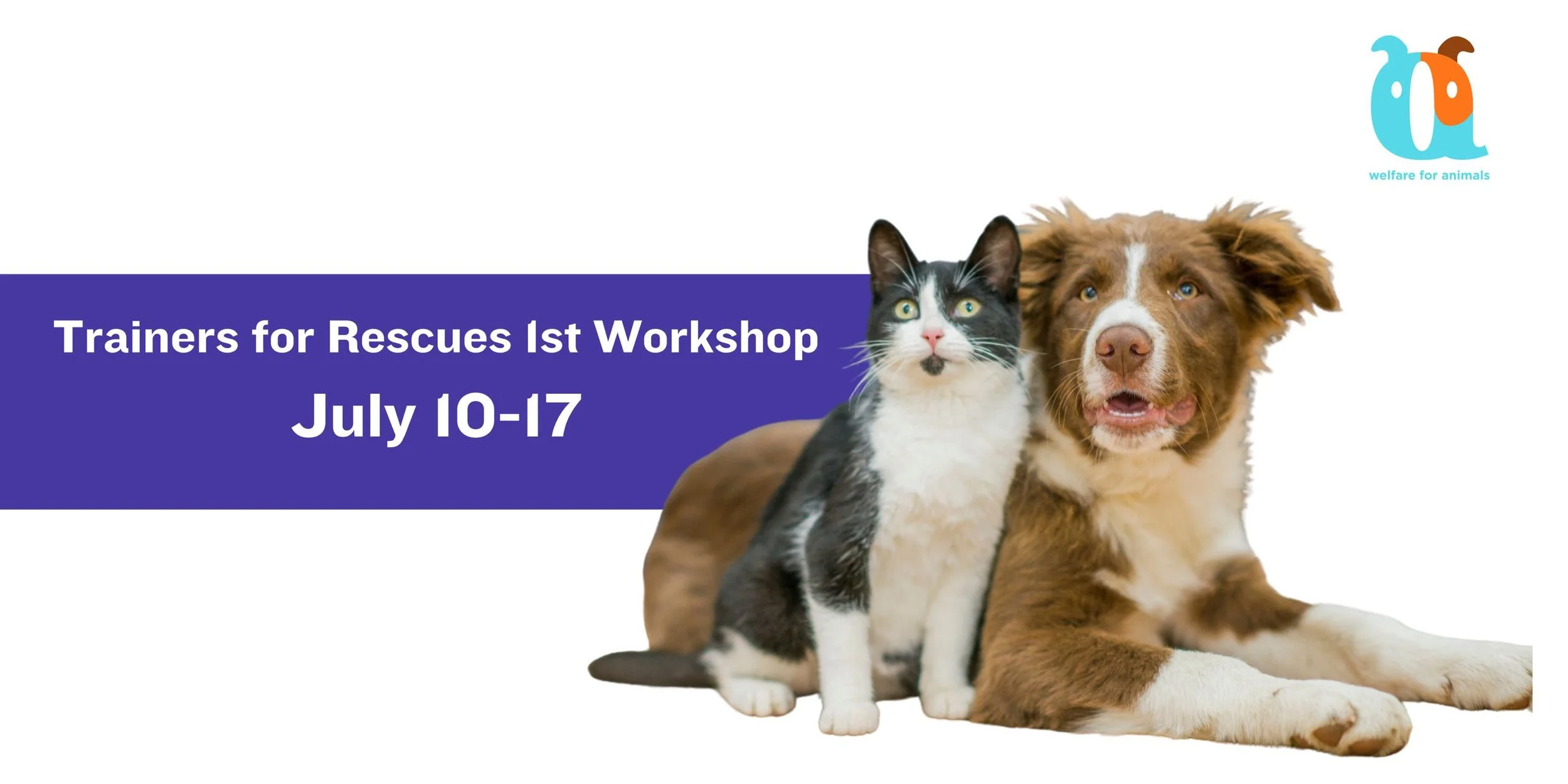Did you miss our first Trainers for Rescues workshop?