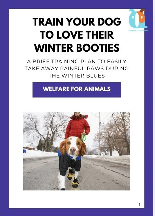 Image 2025-02-16 at 8.44 PM.jpeg