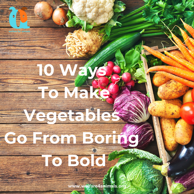 10 Ways How To Make Vegetables Go From Boring To Bold Meatless Monday