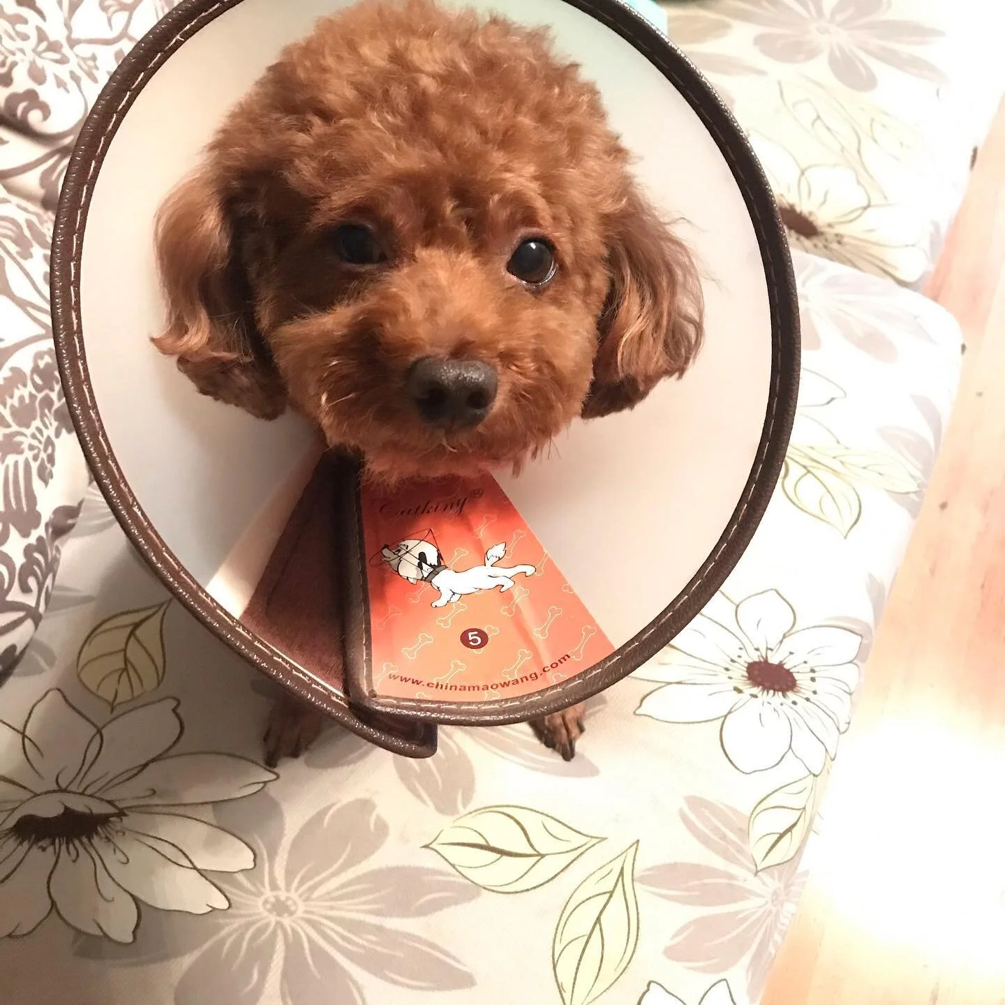 &ldquo;你清醒一点&rdquo;