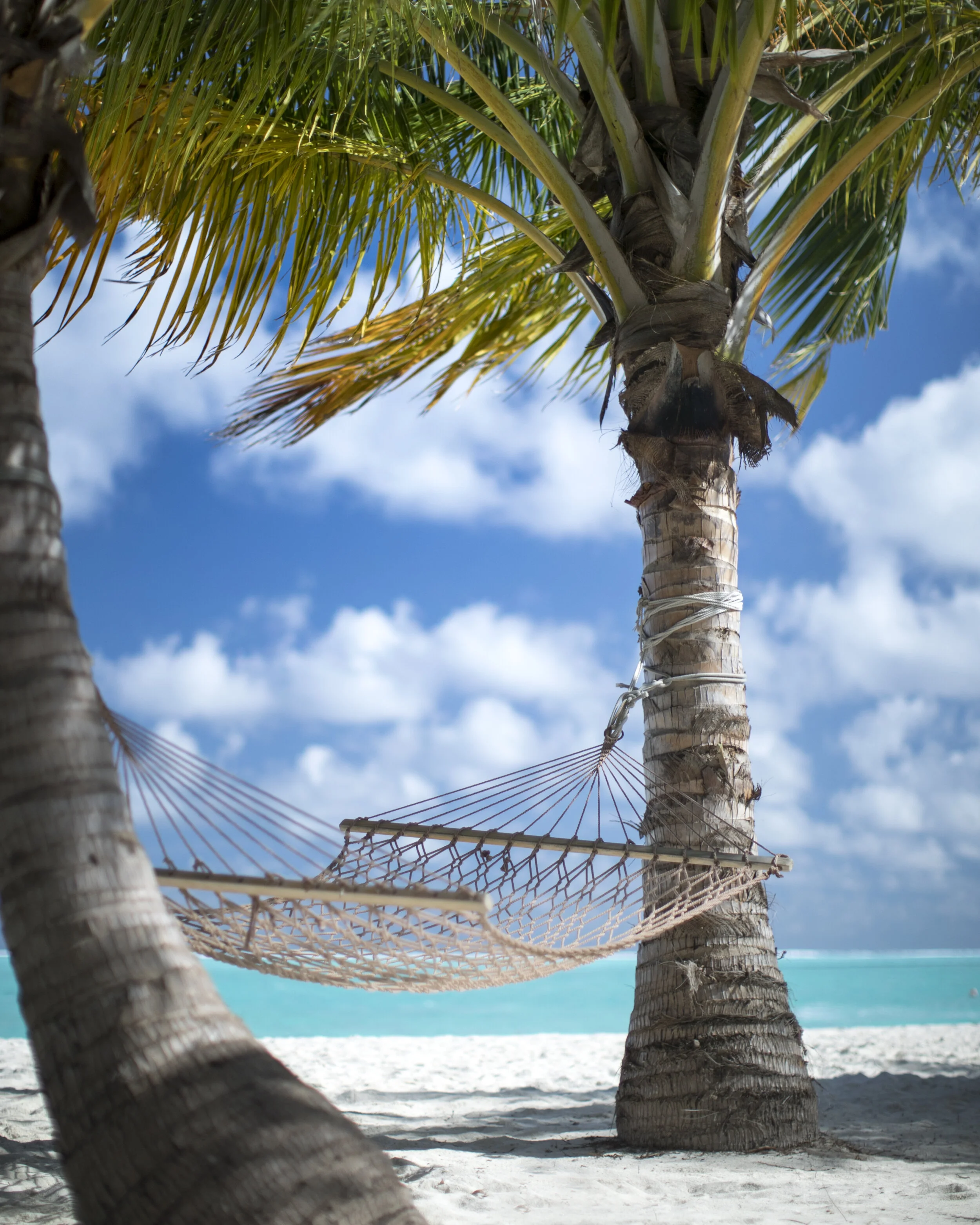 5 Ways Teachers Can Re-energize During Winter Break