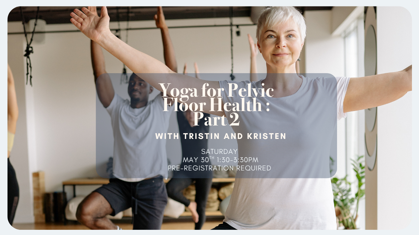 pelvic floor part 2 (5).png