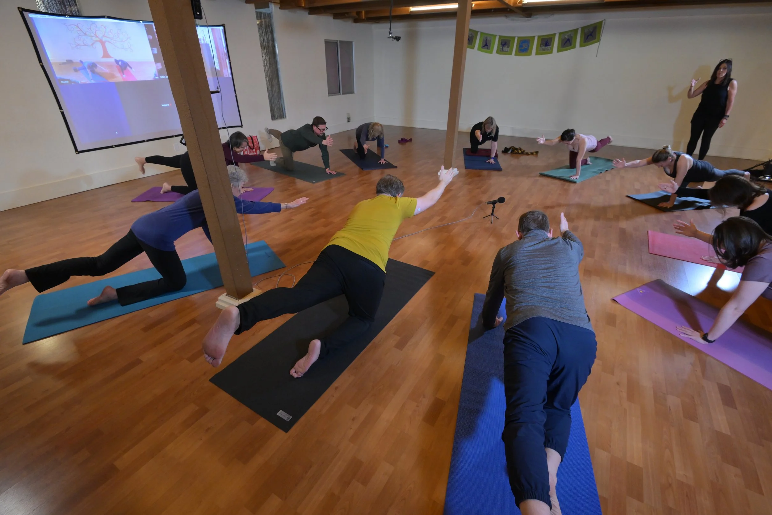 DiscoverYoga2026_0035.jpg