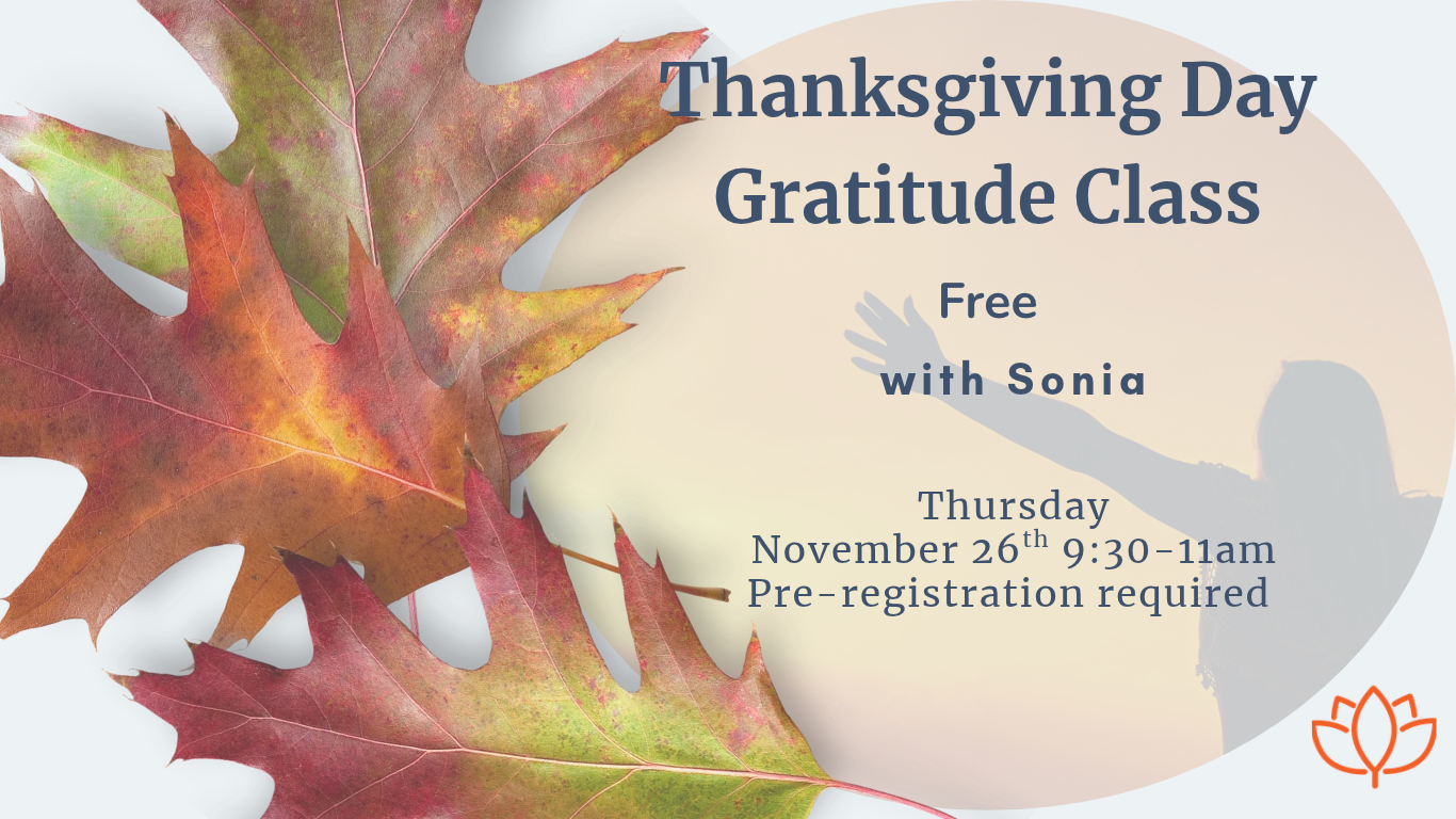 Thanksgiving 2026 website.png