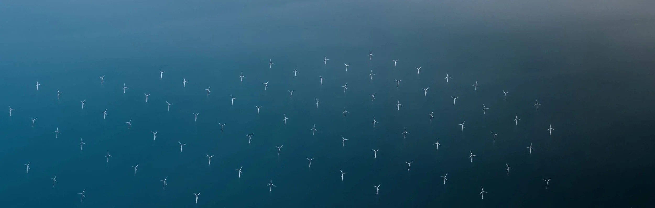 Wind banner low res.jpg