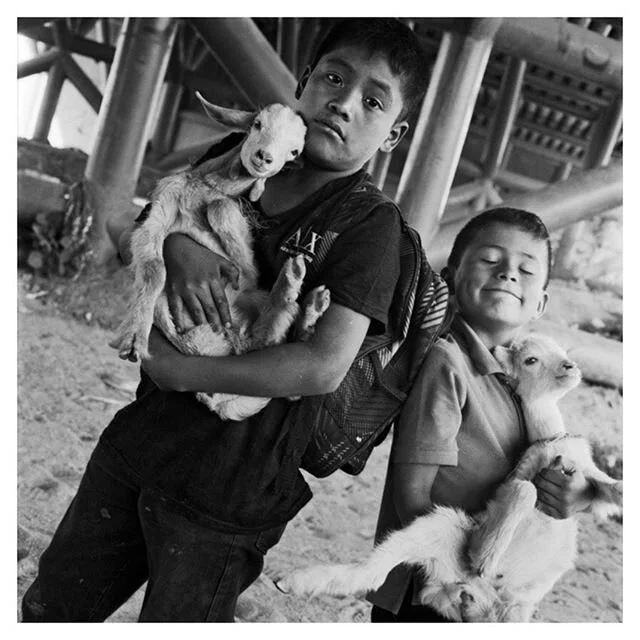 ​La an&eacute;cdota que sirve como base a Un lugar seguro es un momento espec&iacute;fico de la historia de vida de la familia Mart&iacute;nez Mart&iacute;nez, quienes ocuparon una franja de la ribera del R&iacute;o Atoyac para habitarla, una playa a