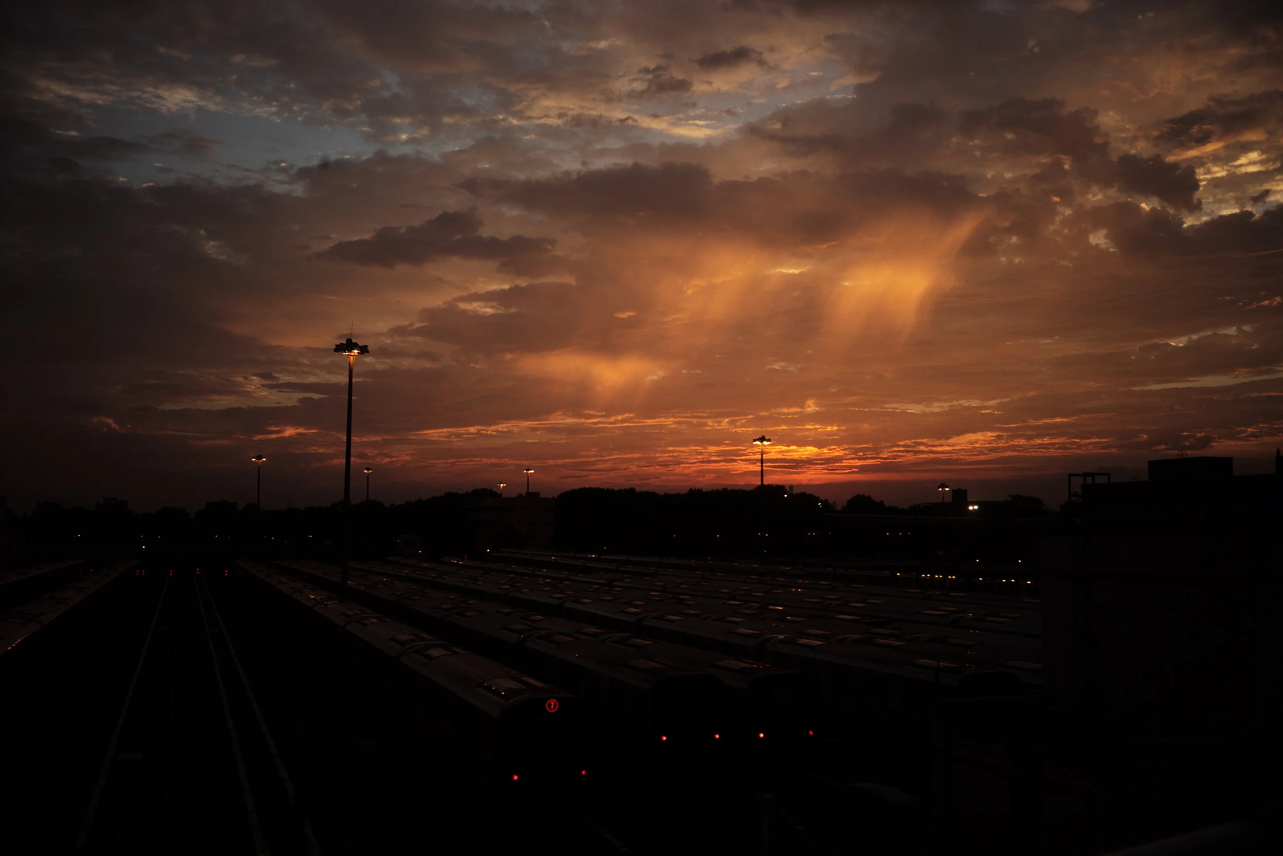 L1009506.JPG