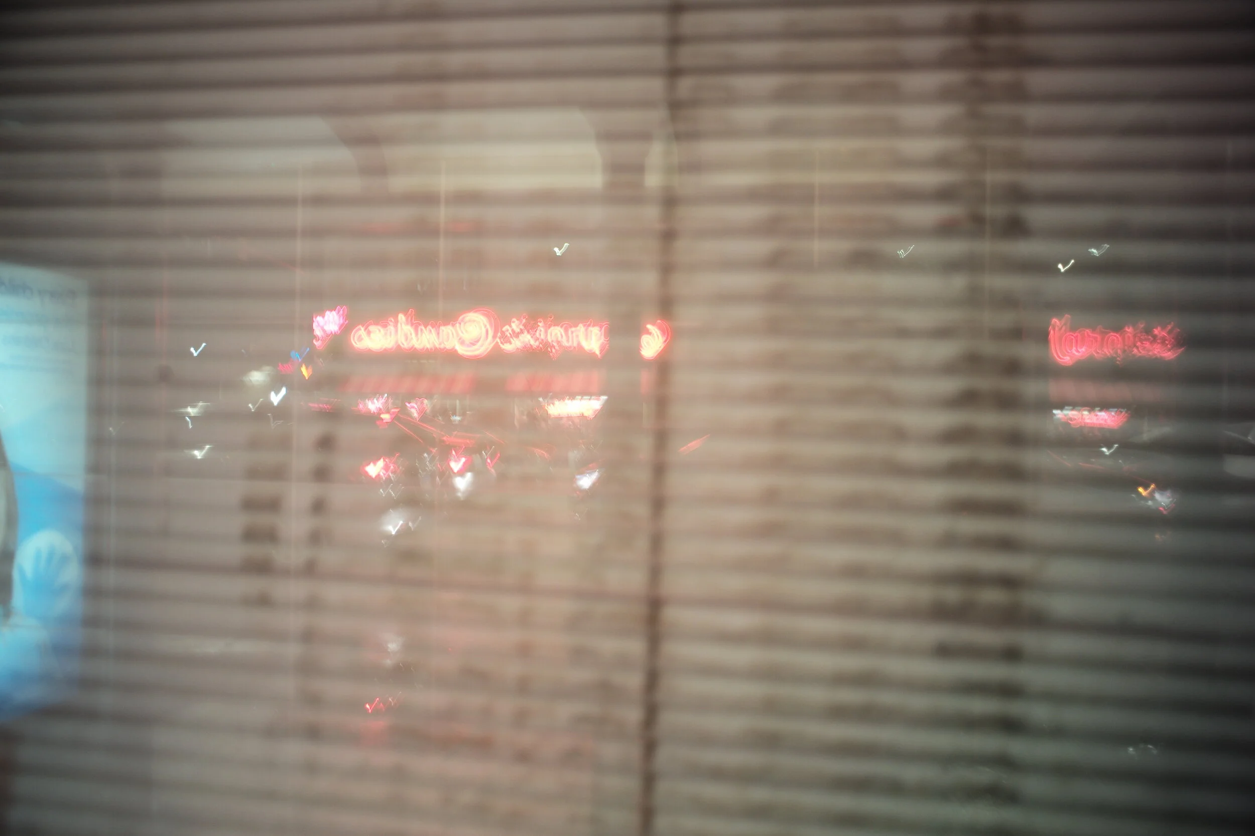 L1009357.JPG