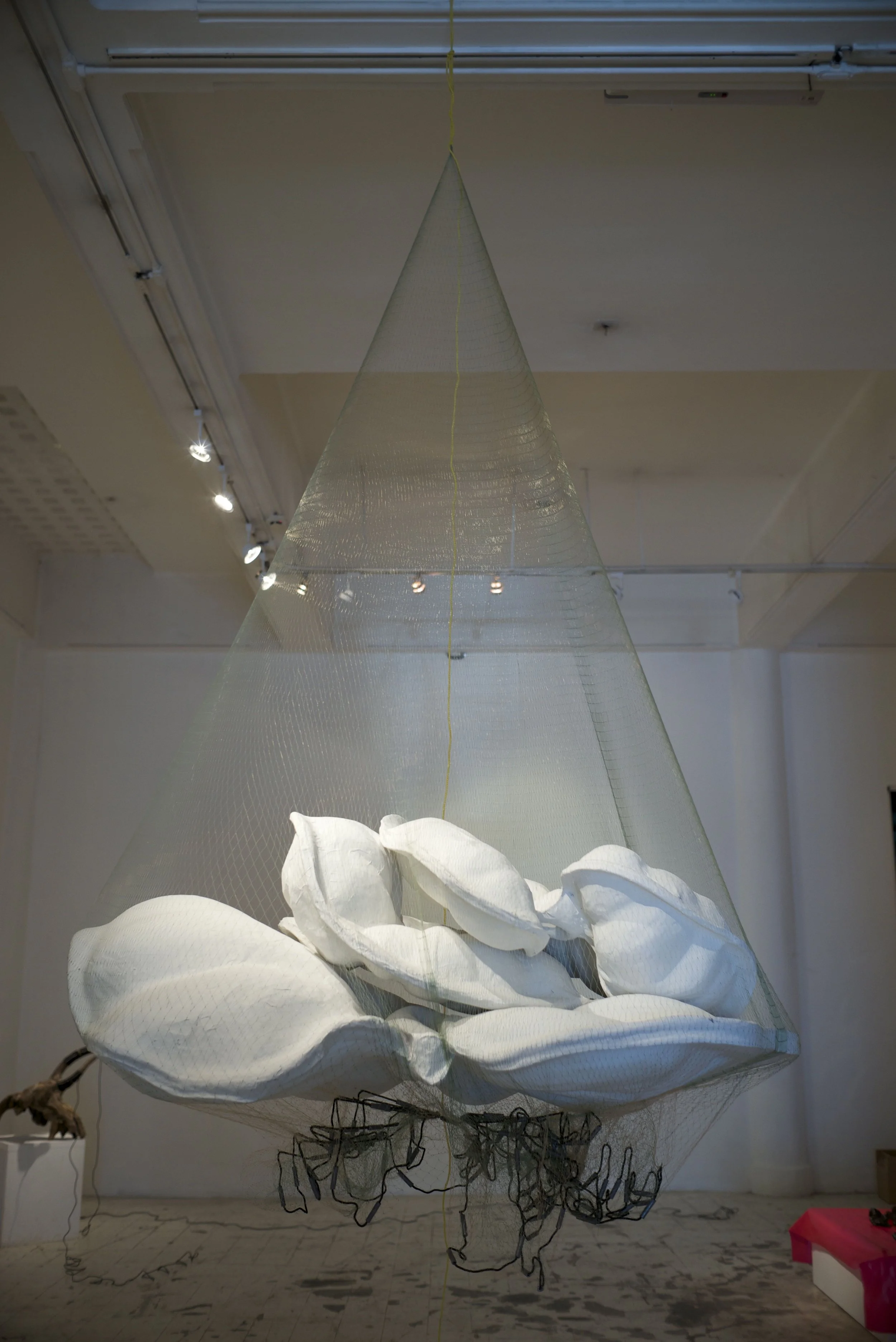 L1005162.jpg