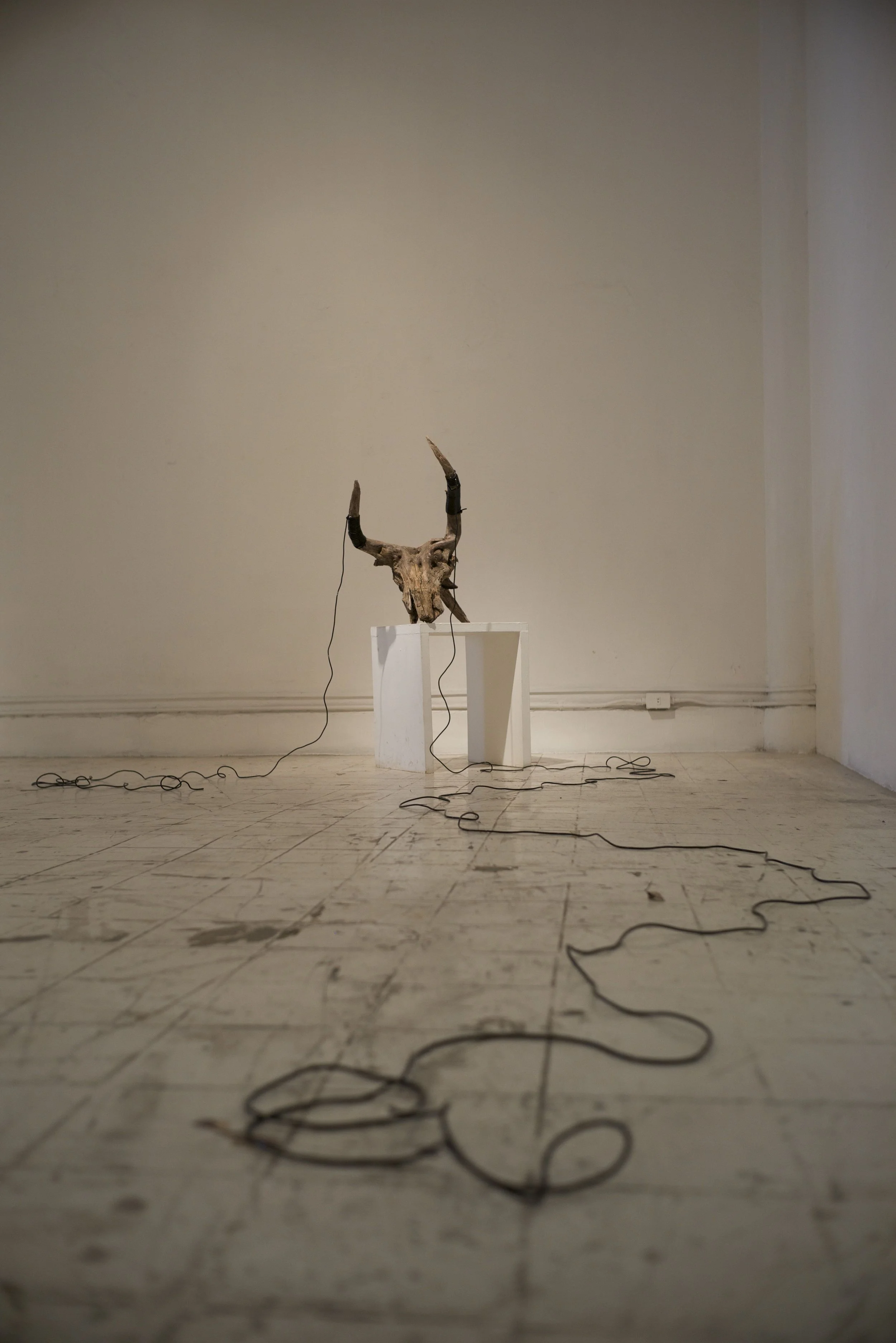L1005173.jpg