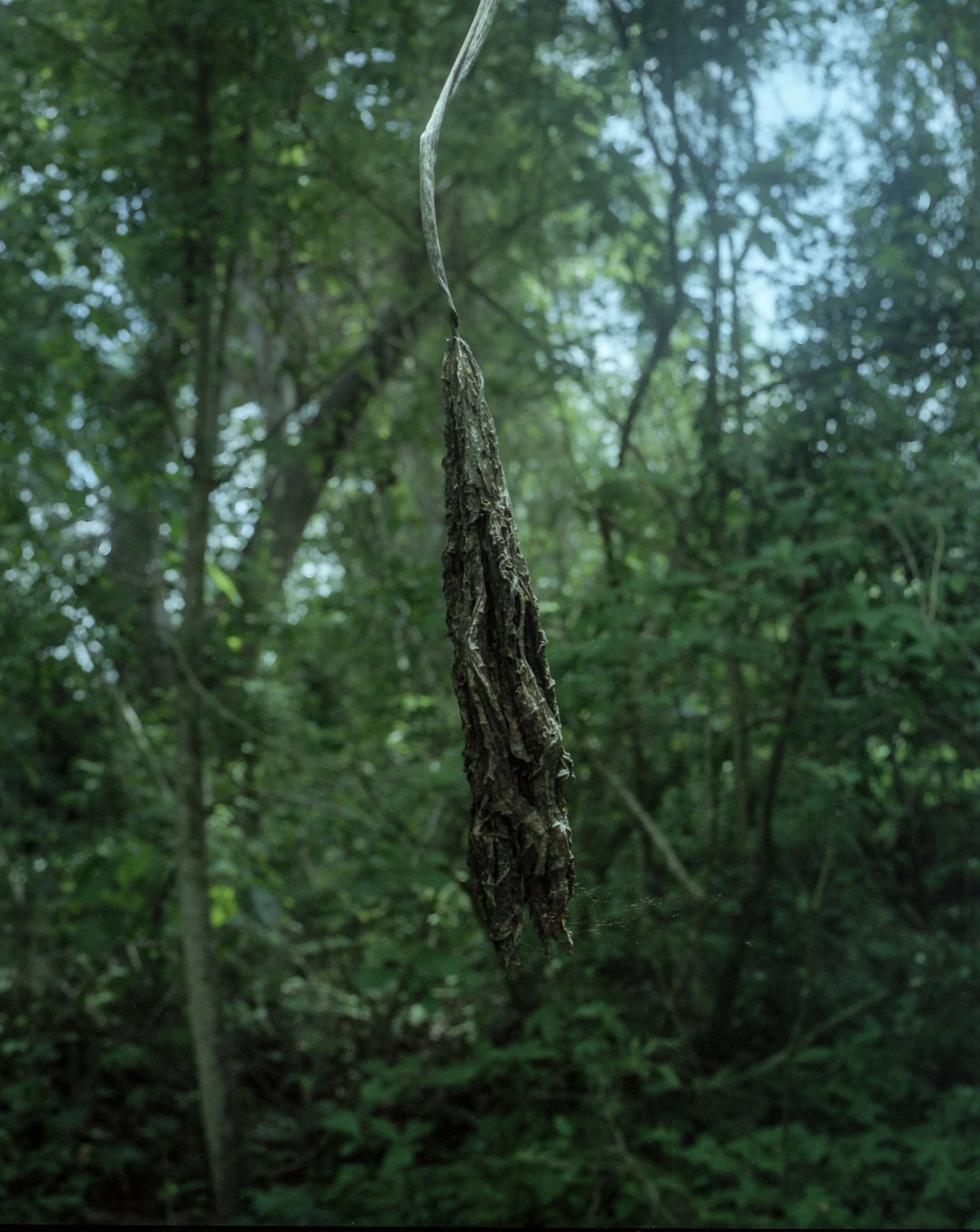 reserva005-6.jpg