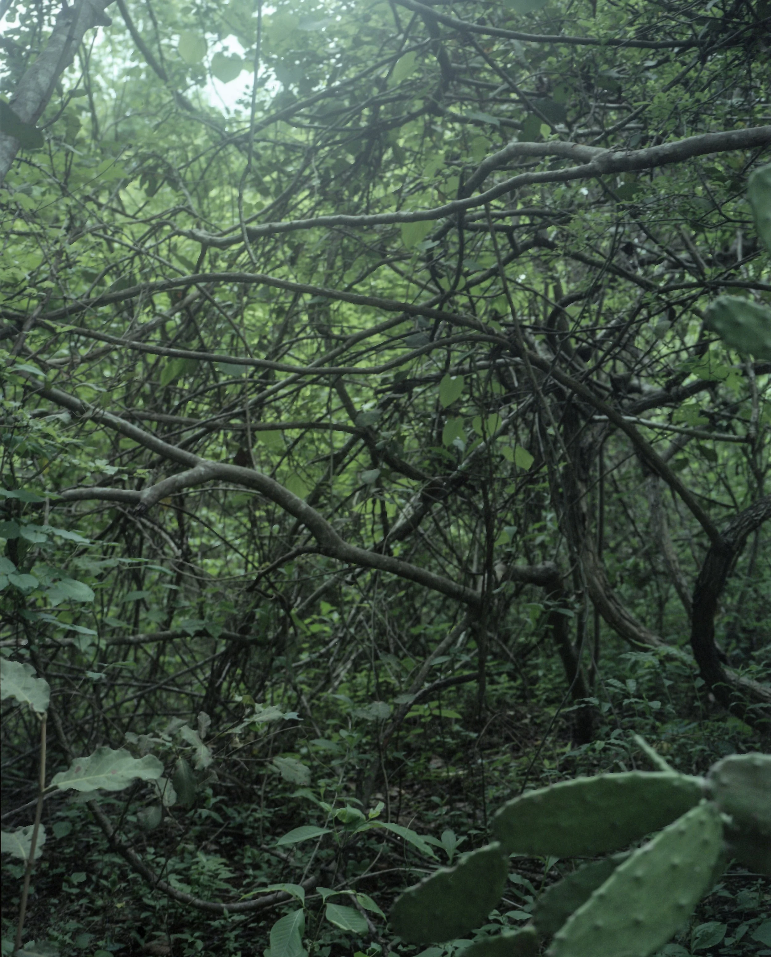reserva051-3.jpg