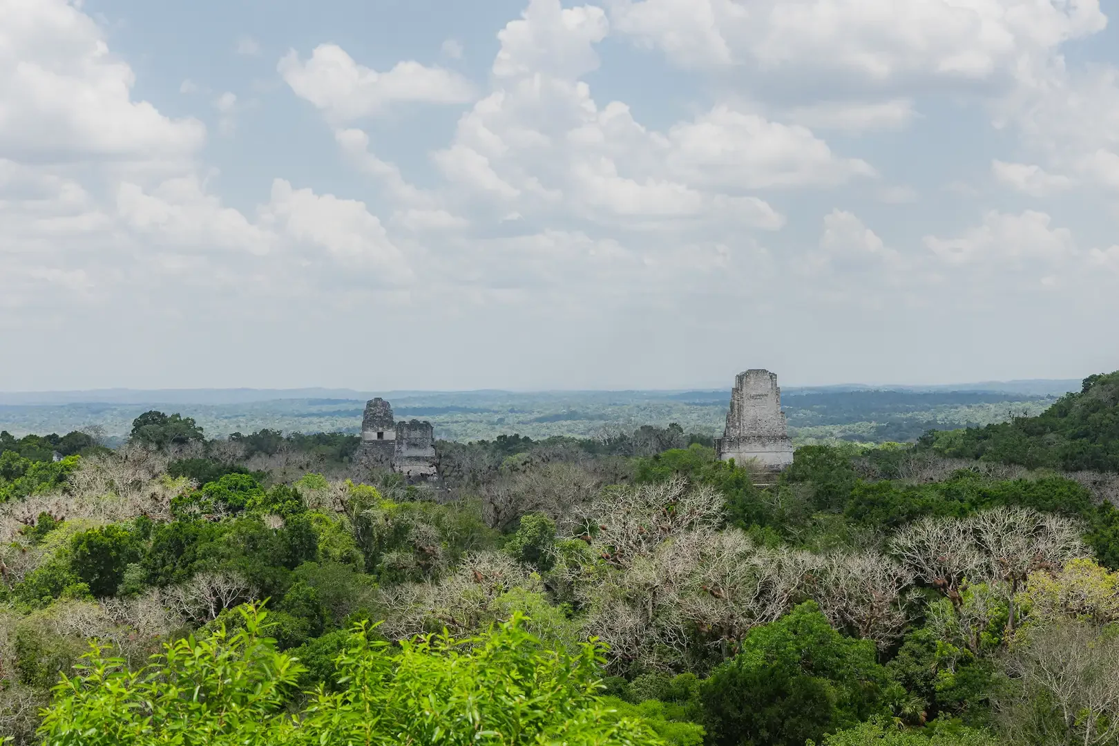 Tikal.webp