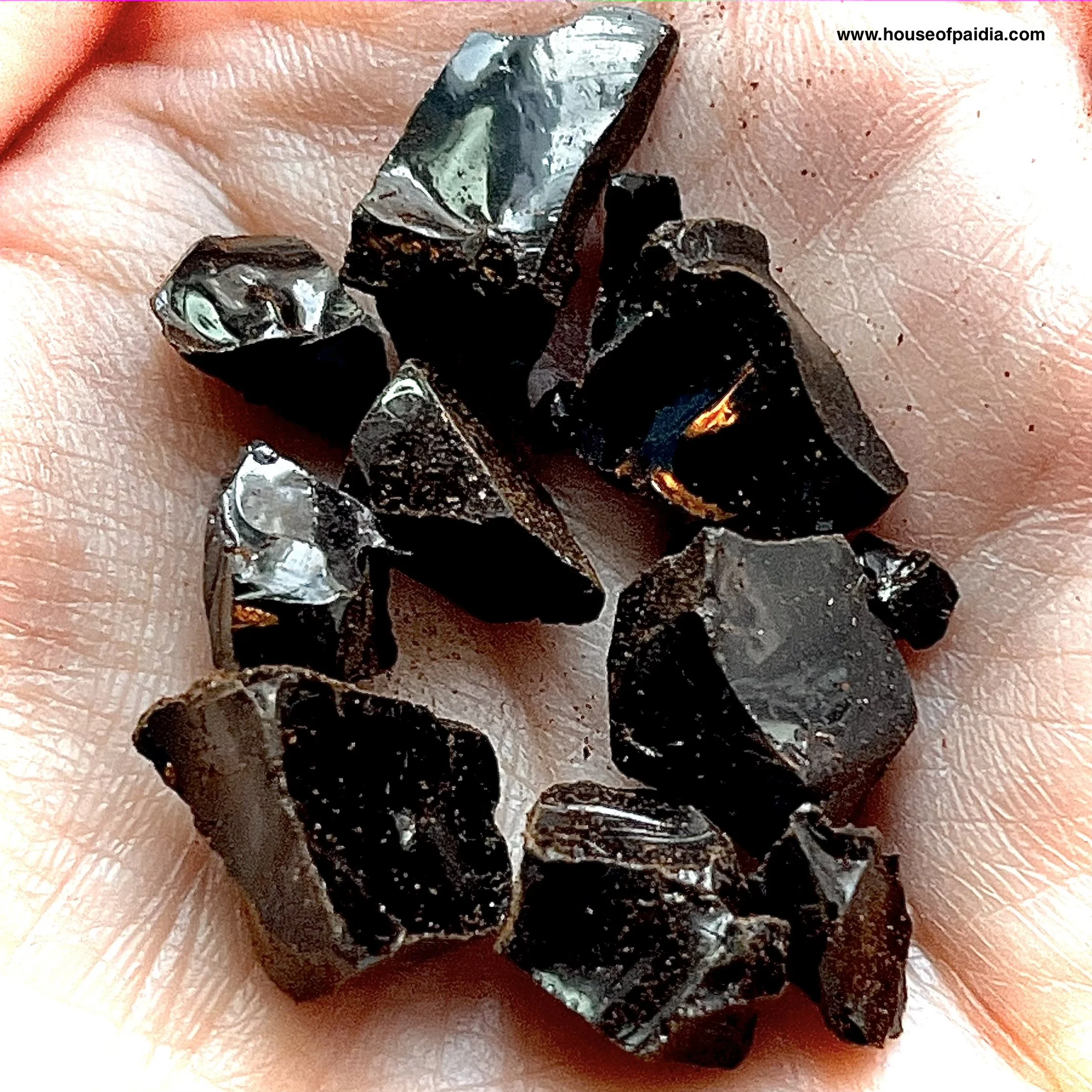 Episode 2: Dyed in the Wool