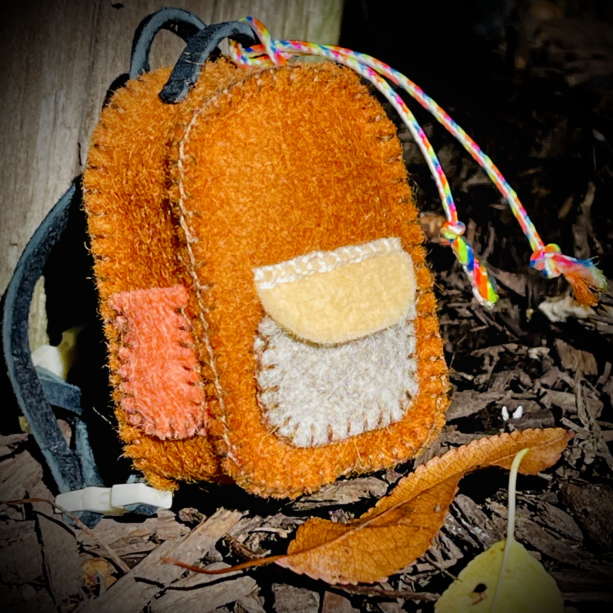 Northward: Keepsakes from the Wild Book