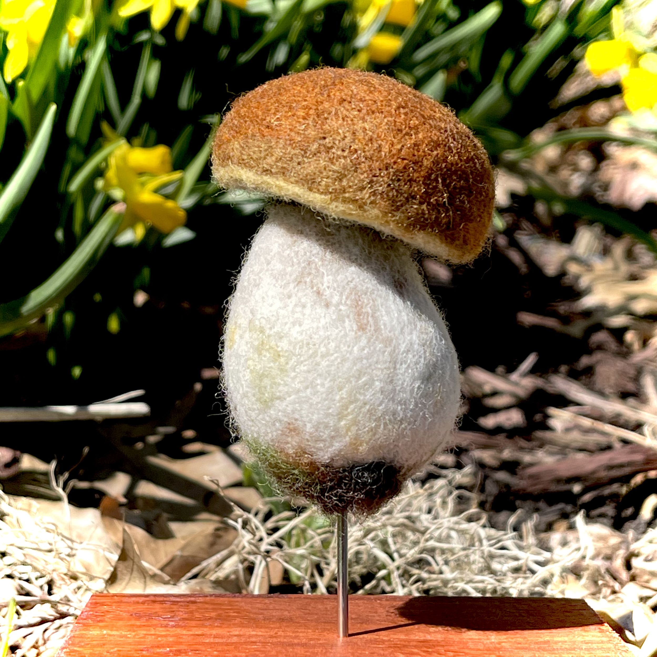 Needle Felted Mushrooms
