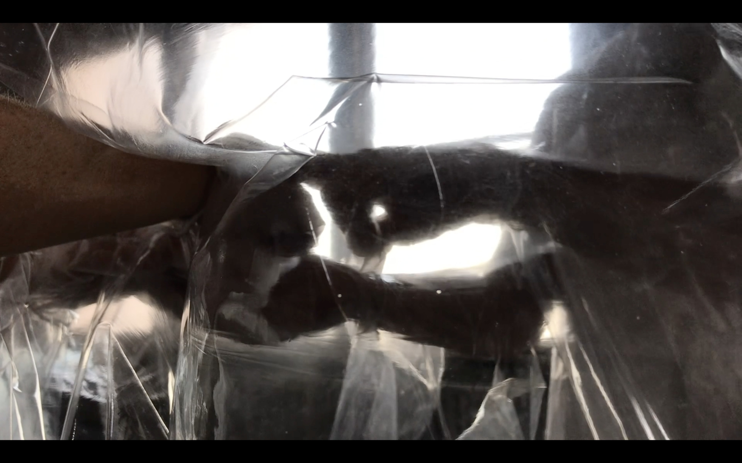 Screen Shot 2020-07-12 at 12.56.43 PM.png