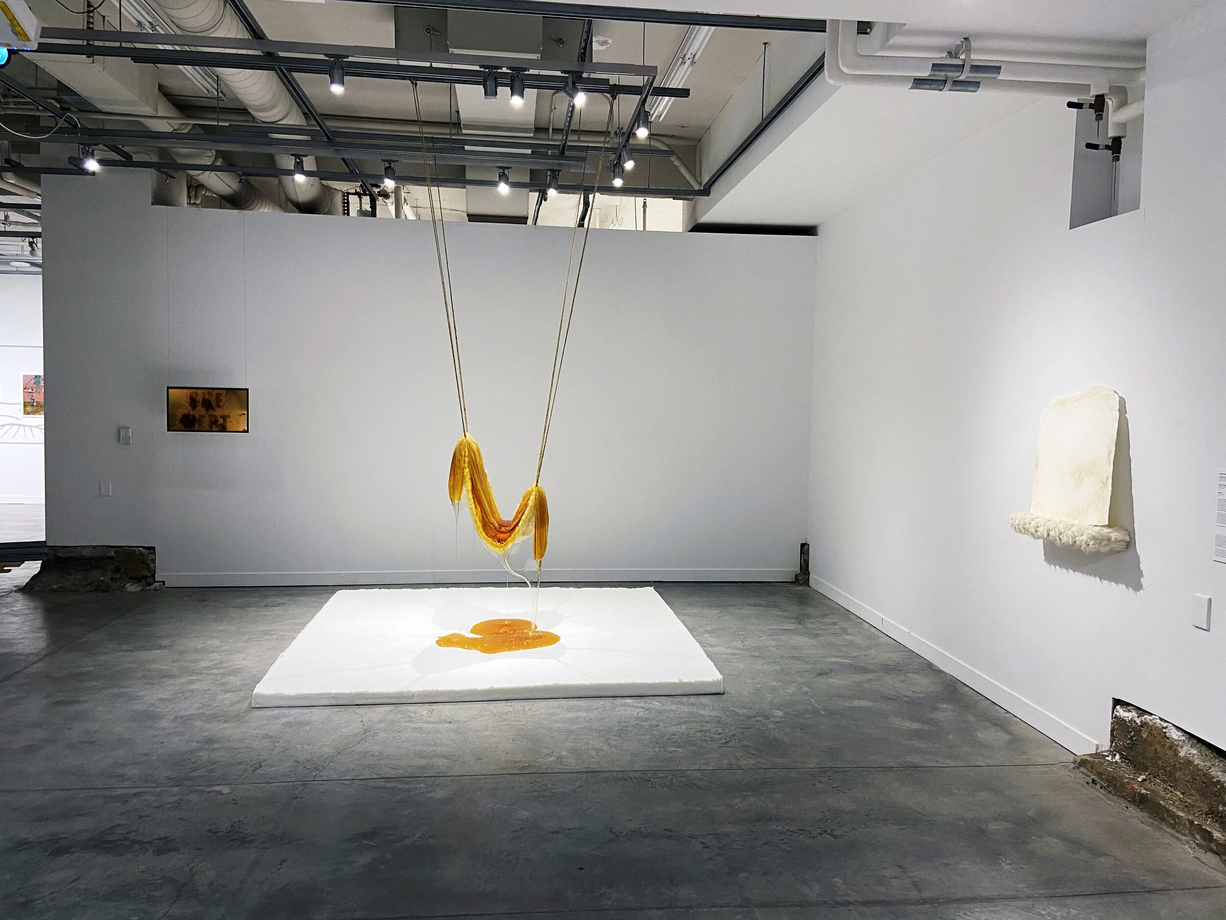 Overall_Edited Video.jpg