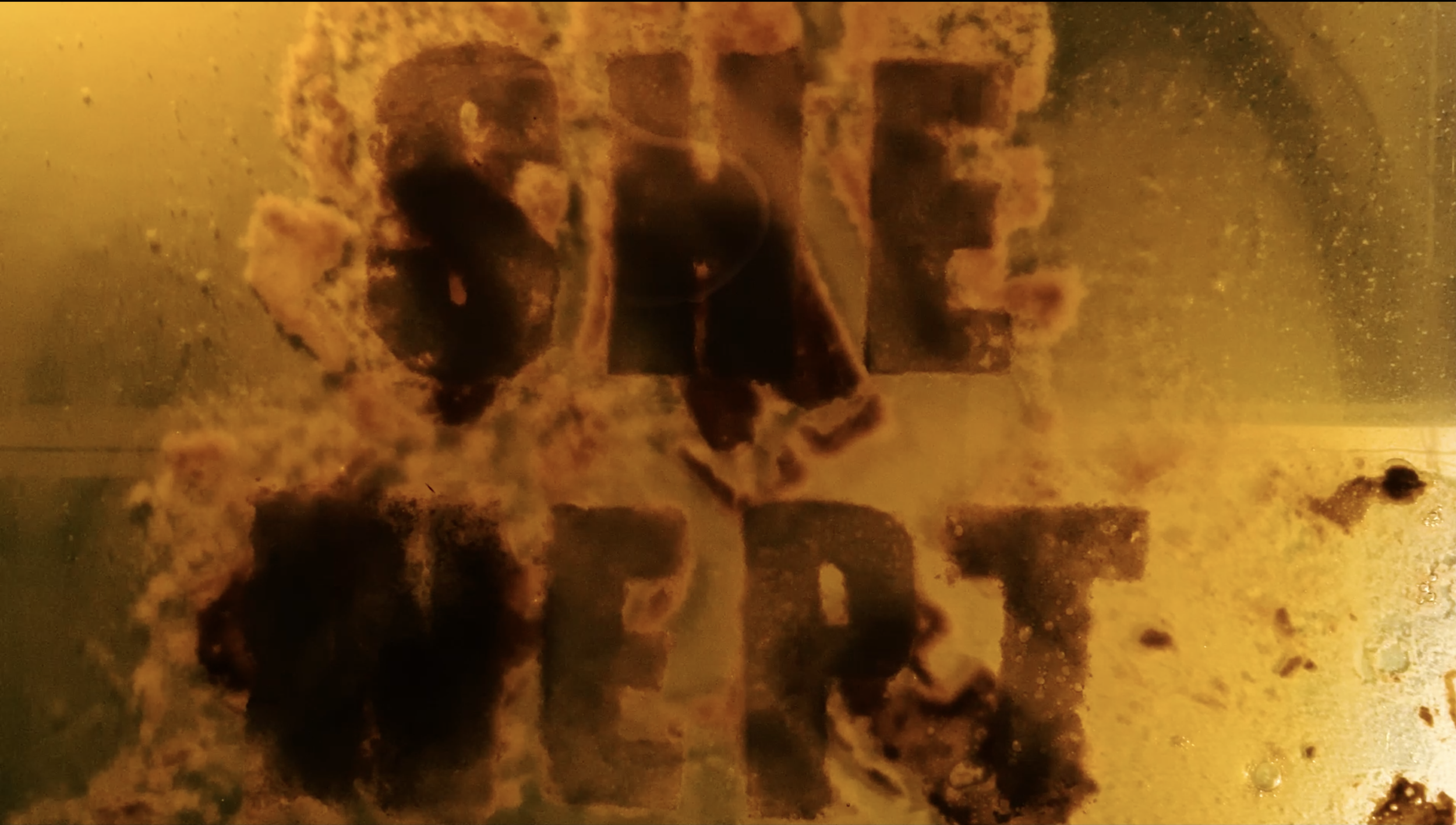 Screen Shot 2021-02-24 at 3.54.30 PM.png