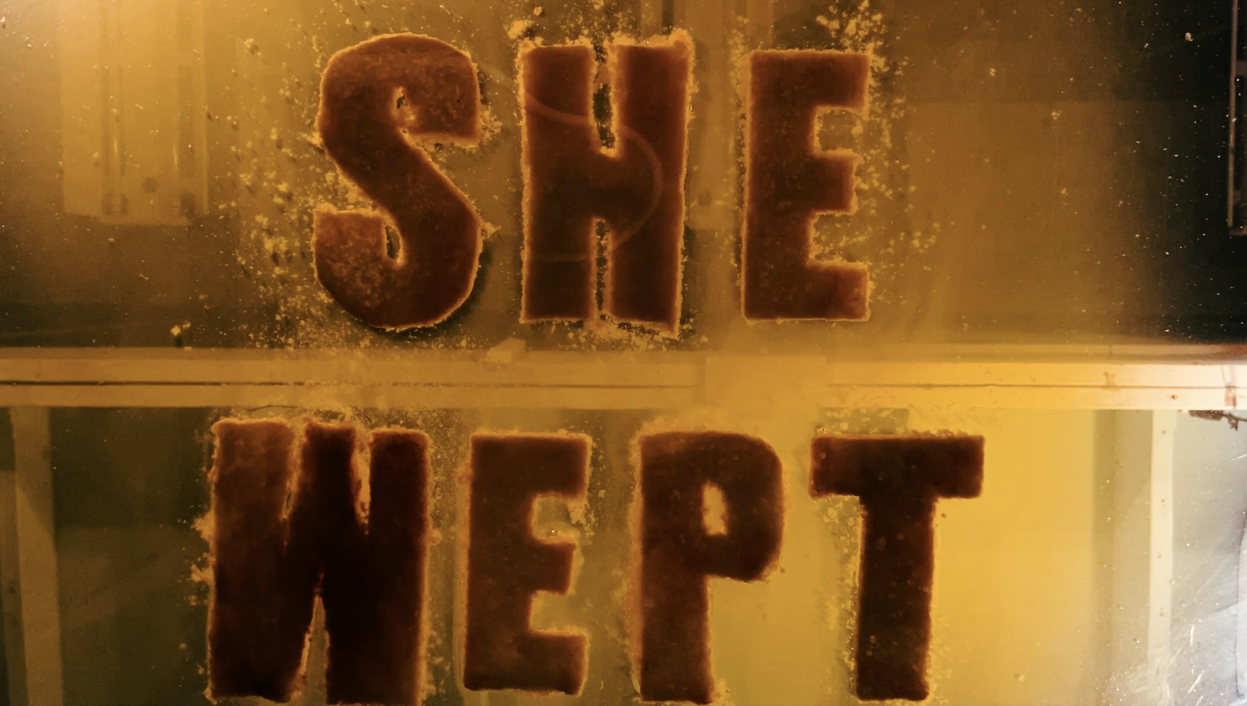 Screen Shot 2021-02-24 at 3.54.12 PM.png