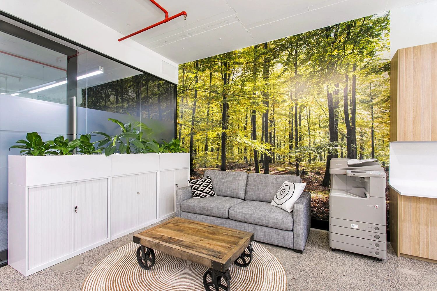 corporate-construction-group-sydney-12.jpg