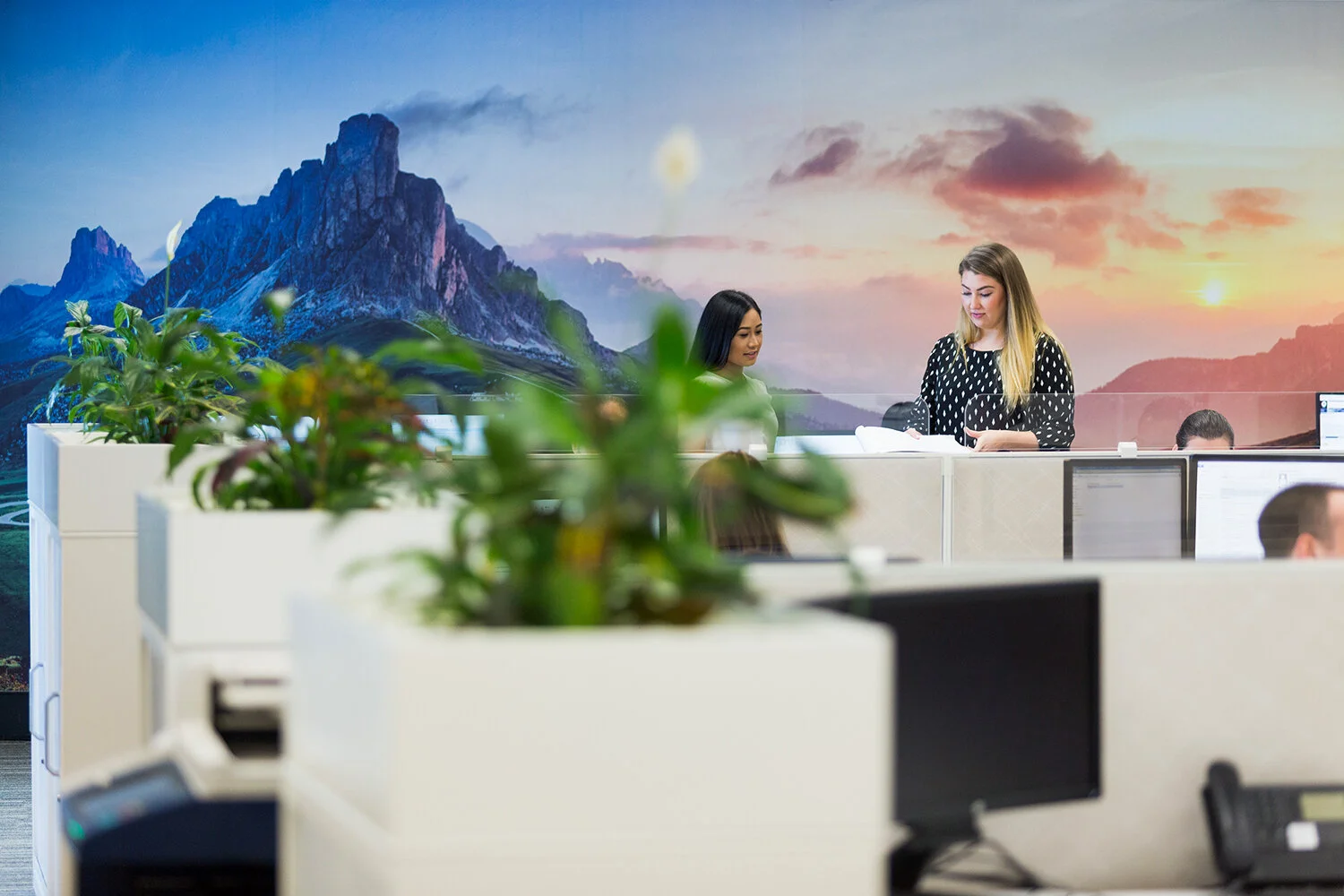 corporate-construction-group-sydney-82.jpg