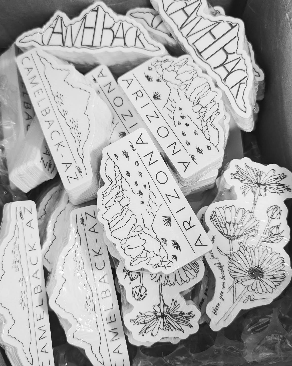 Stickers are STOCKED!