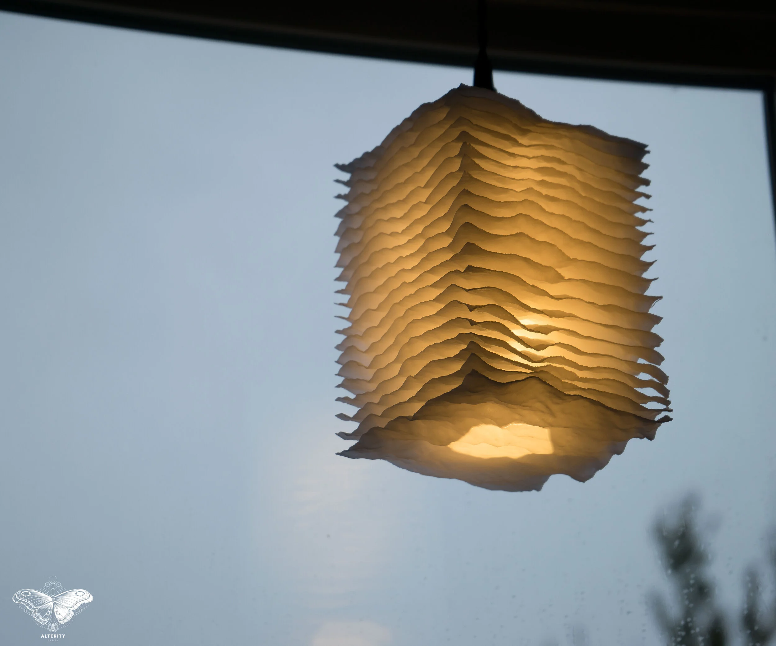 _DSC8114.jpg
