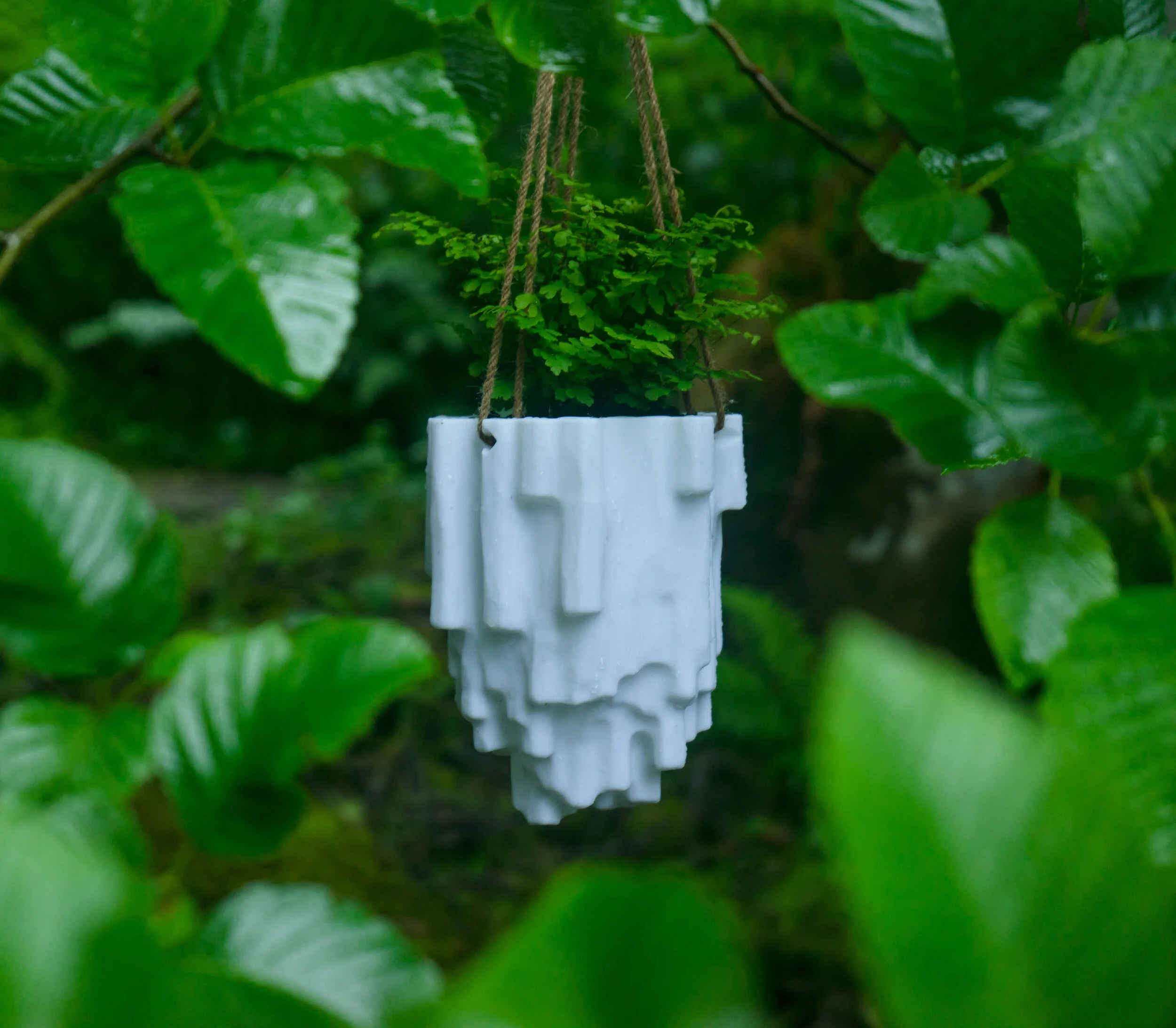 A return to Nature. (Copy)