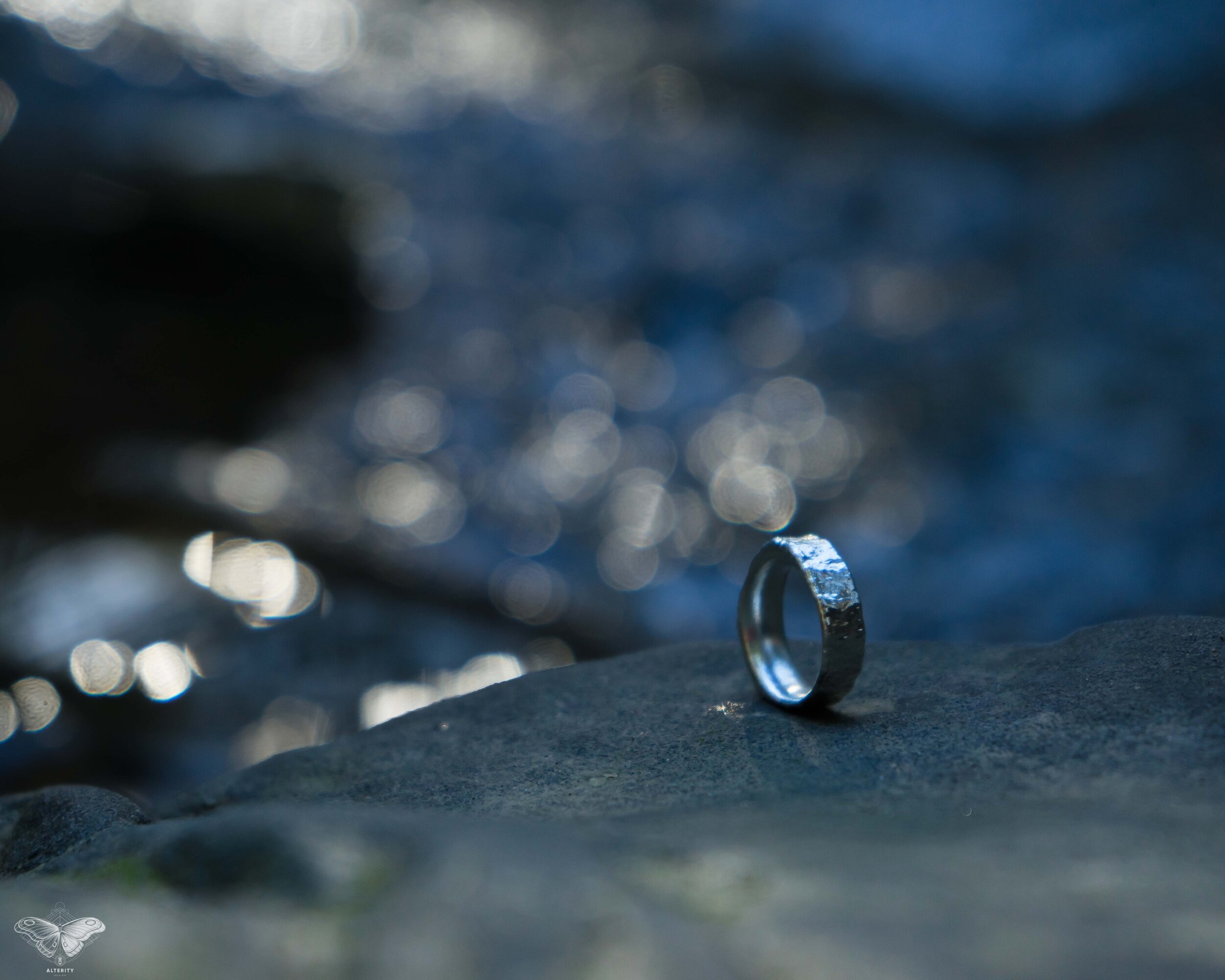 _DSC8520.jpg