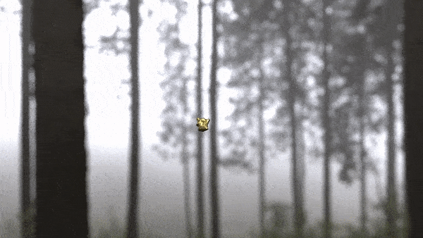ezgif-6-72ddc1e73425.gif