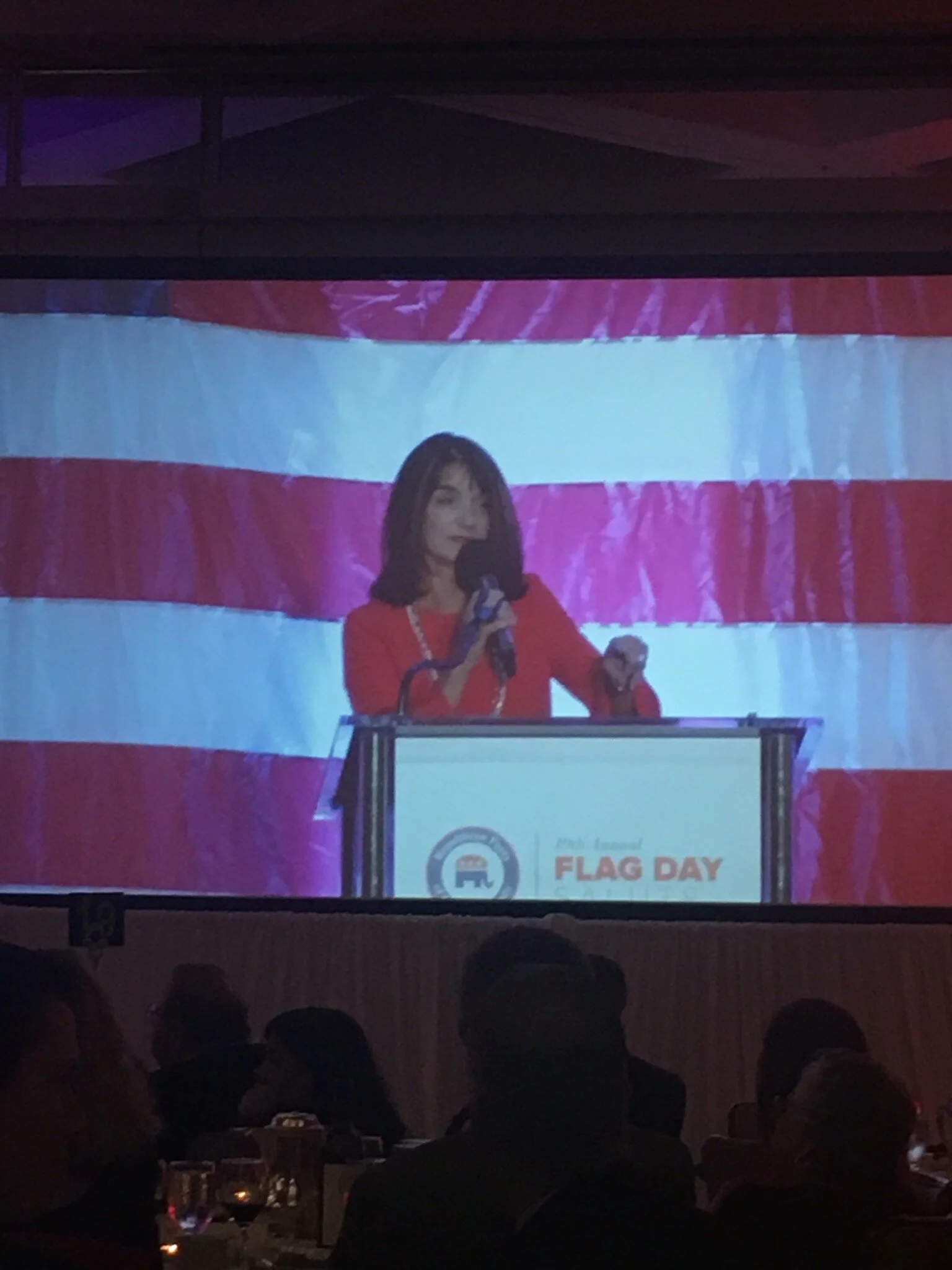 Flag Day 2018.JPG