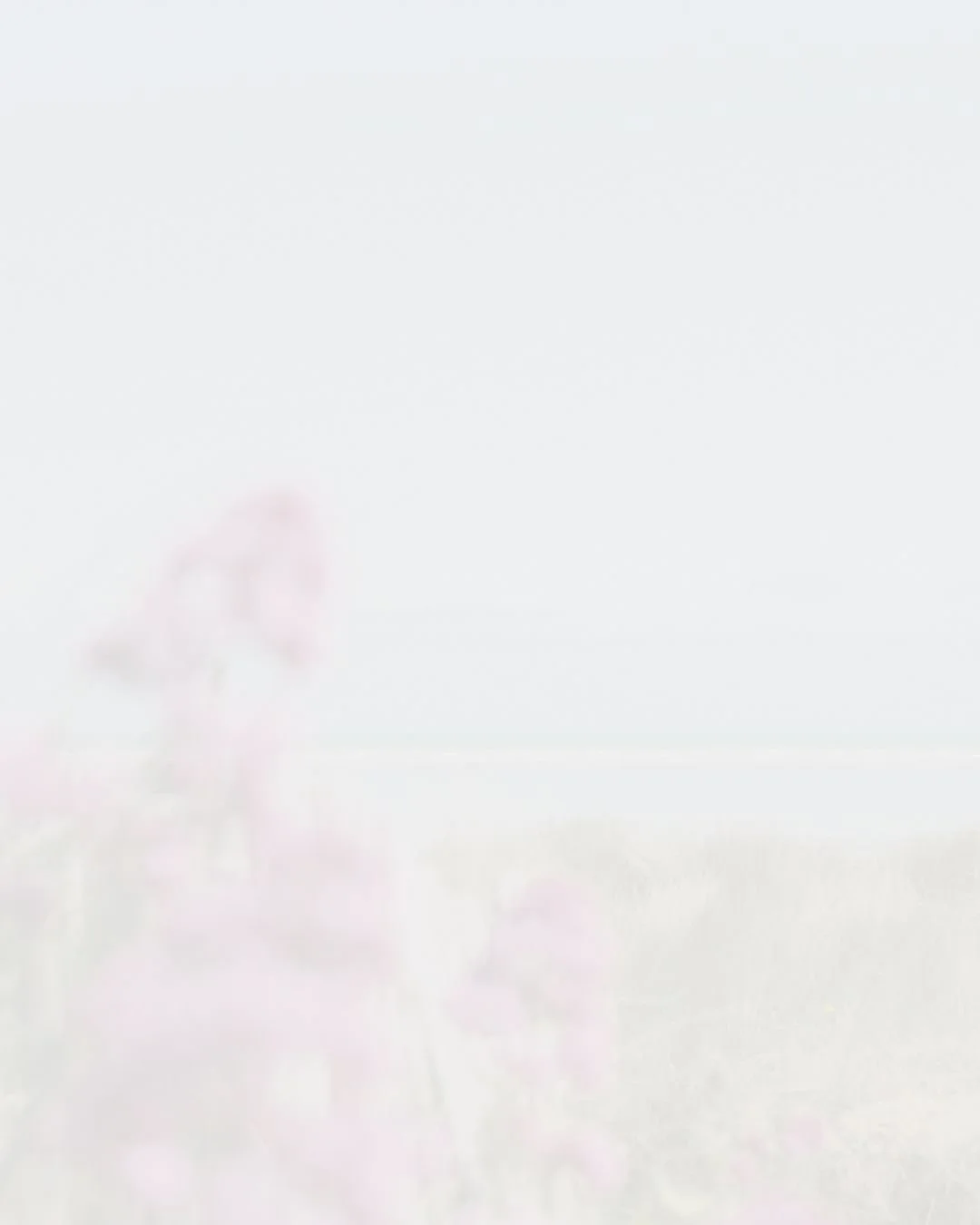 water violet creative (6).jpg