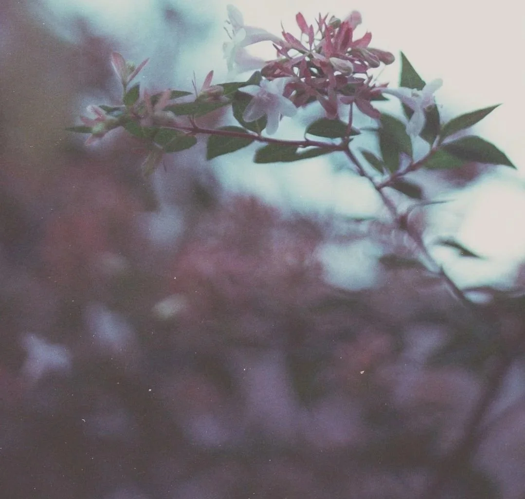 Why feminine creativity and soul is such a healing balm for these 3 types of women