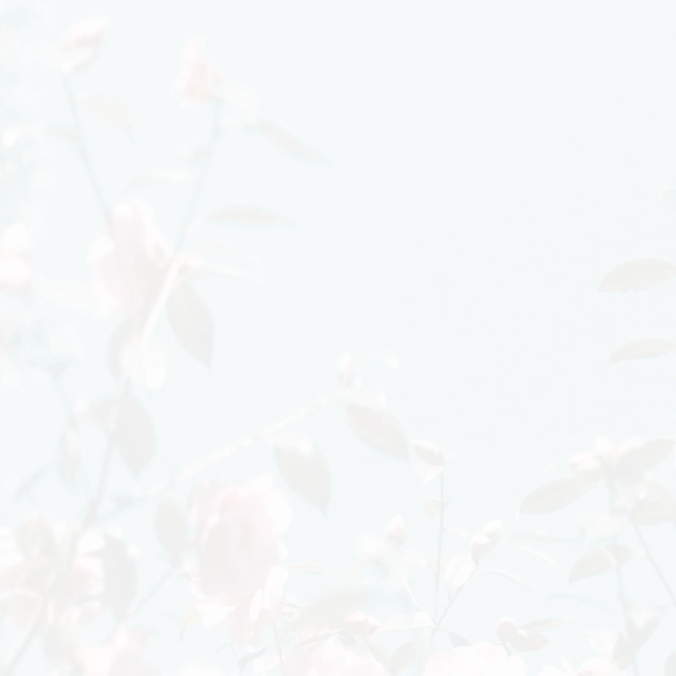 PODIA PRODUCTS - 2026-07-03T202108.069.jpg