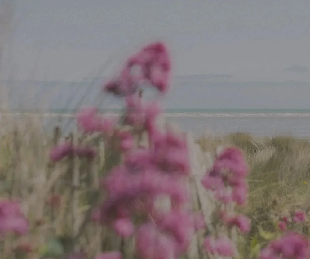 PODIA PRODUCTS - 2026-04-01T203417.170.jpg