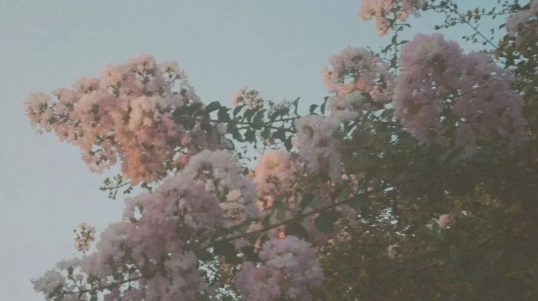 Untitled design (7).jpg