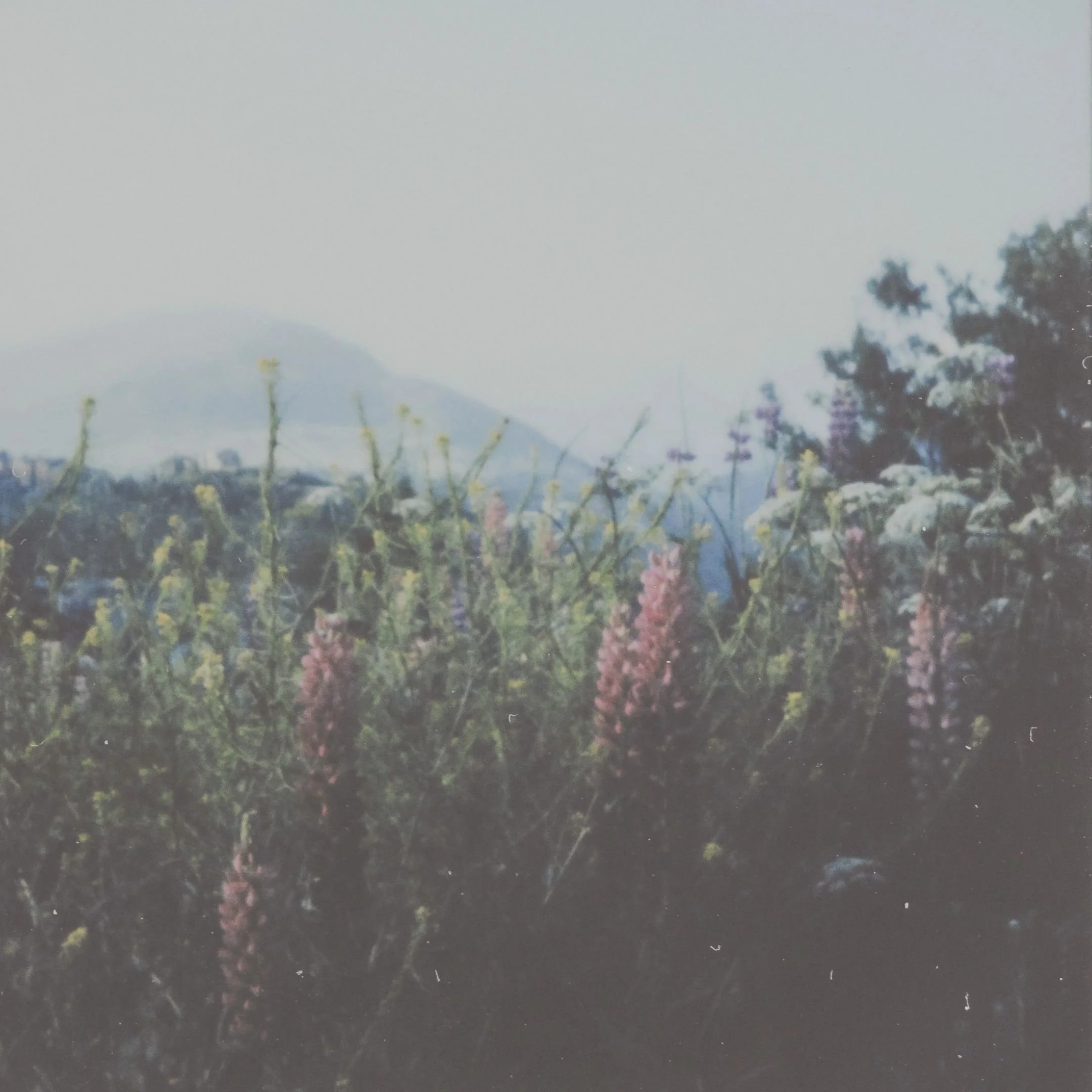 PODIA PRODUCTS - 2026-03-18T192109.285.jpg