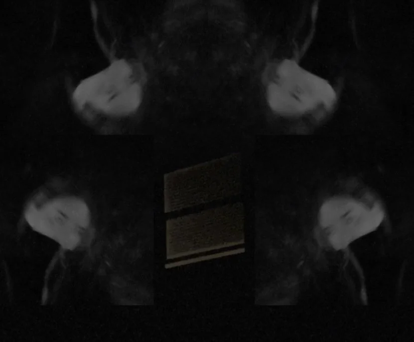 Screen Shot 2023-09-13 at 10.30.48 PM.jpeg