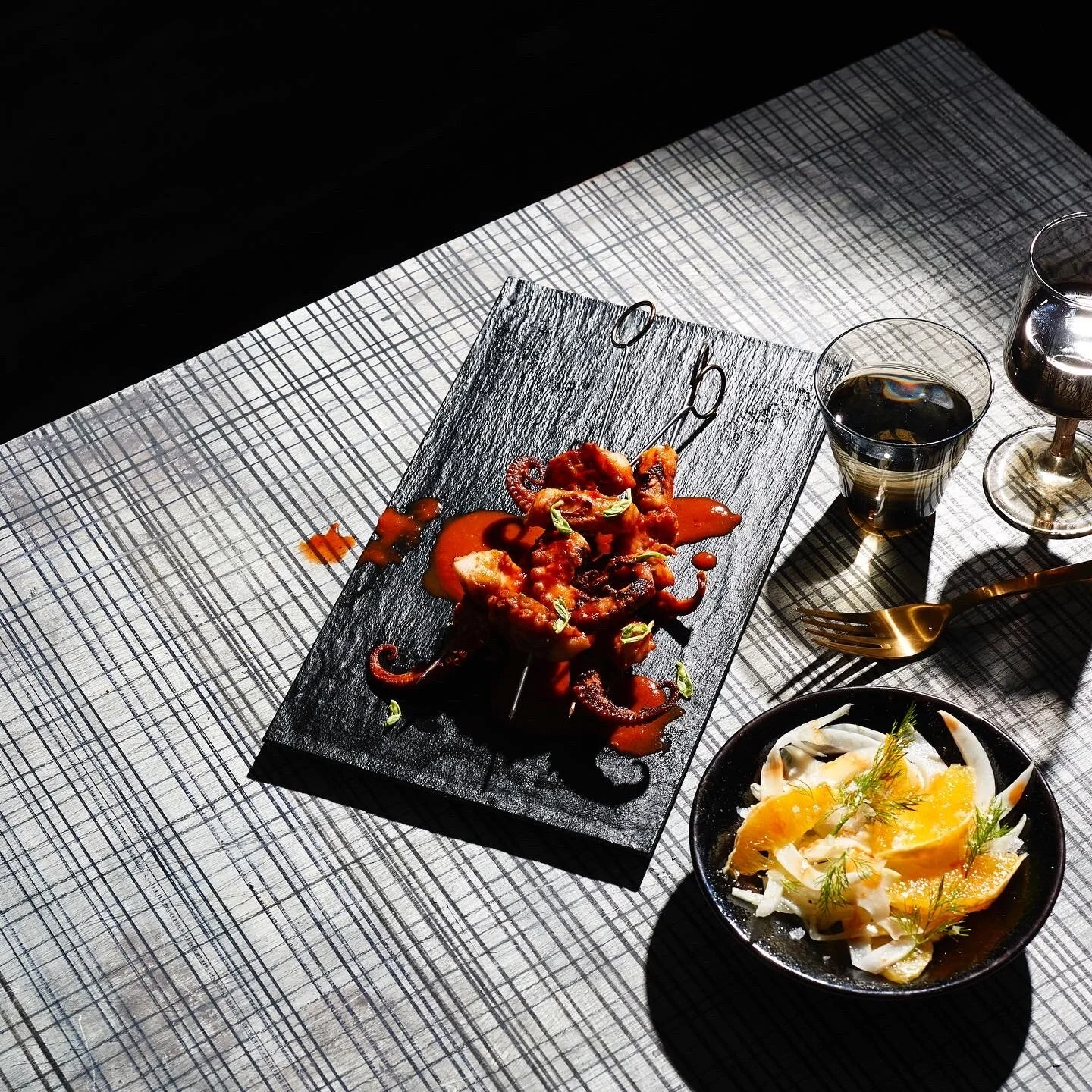   OCTOPUS    PHOTOGRAPHER:    JACOB MANFRED  