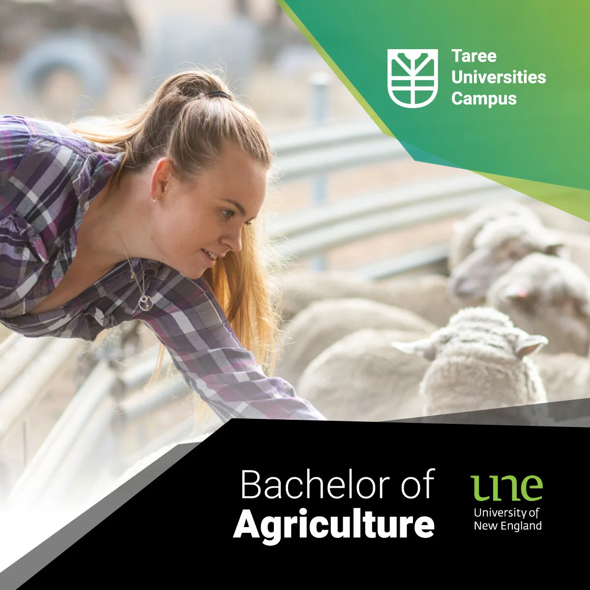 Bachelor of Agriculture