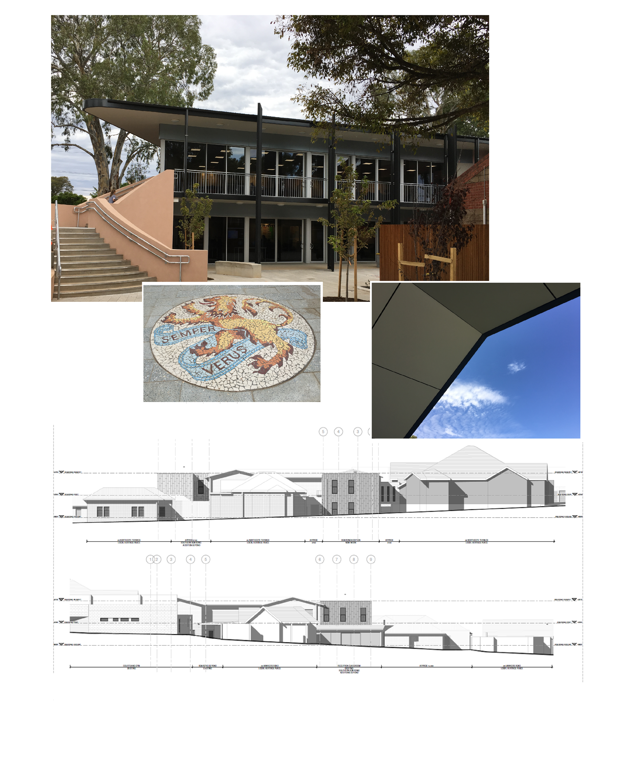 Wilderness  collage.png