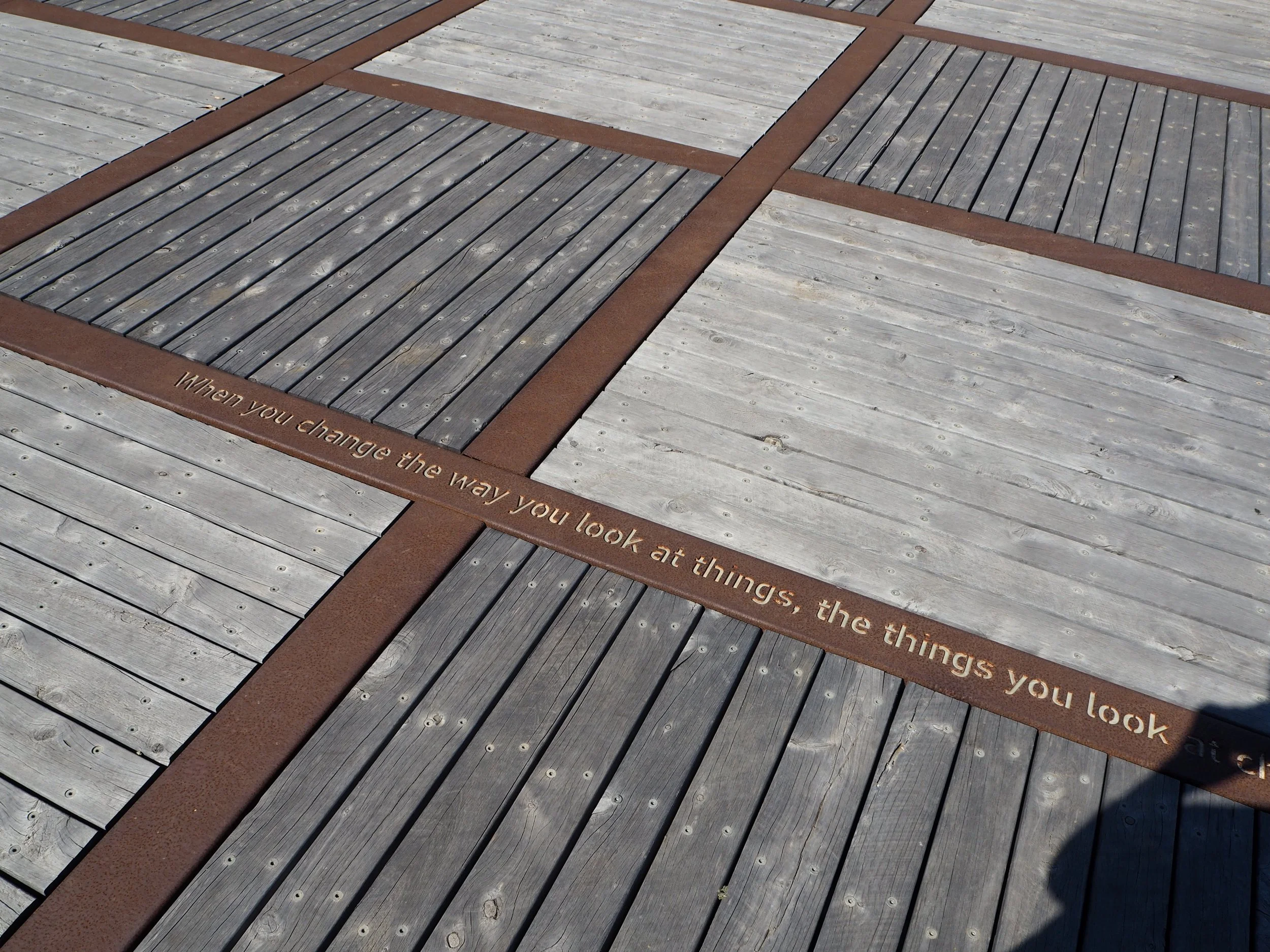 20151108 Botanic Gardens P1010402.JPG