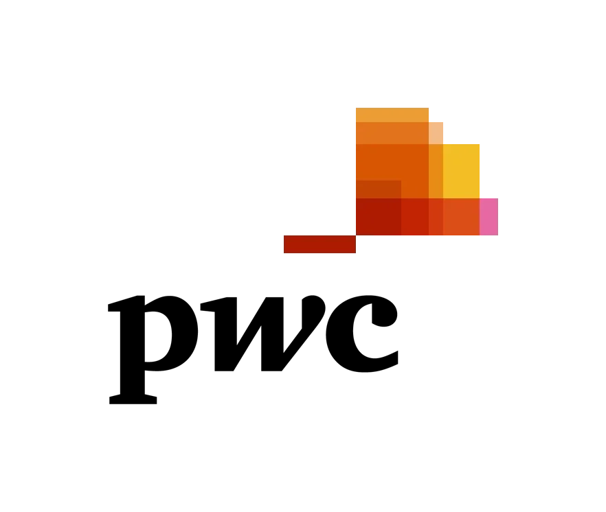 PwC | Premium Professional Advisory. One-on-one executive coaching around leadership development, specifically structured for partner-track readiness and senior consultant acceleration.