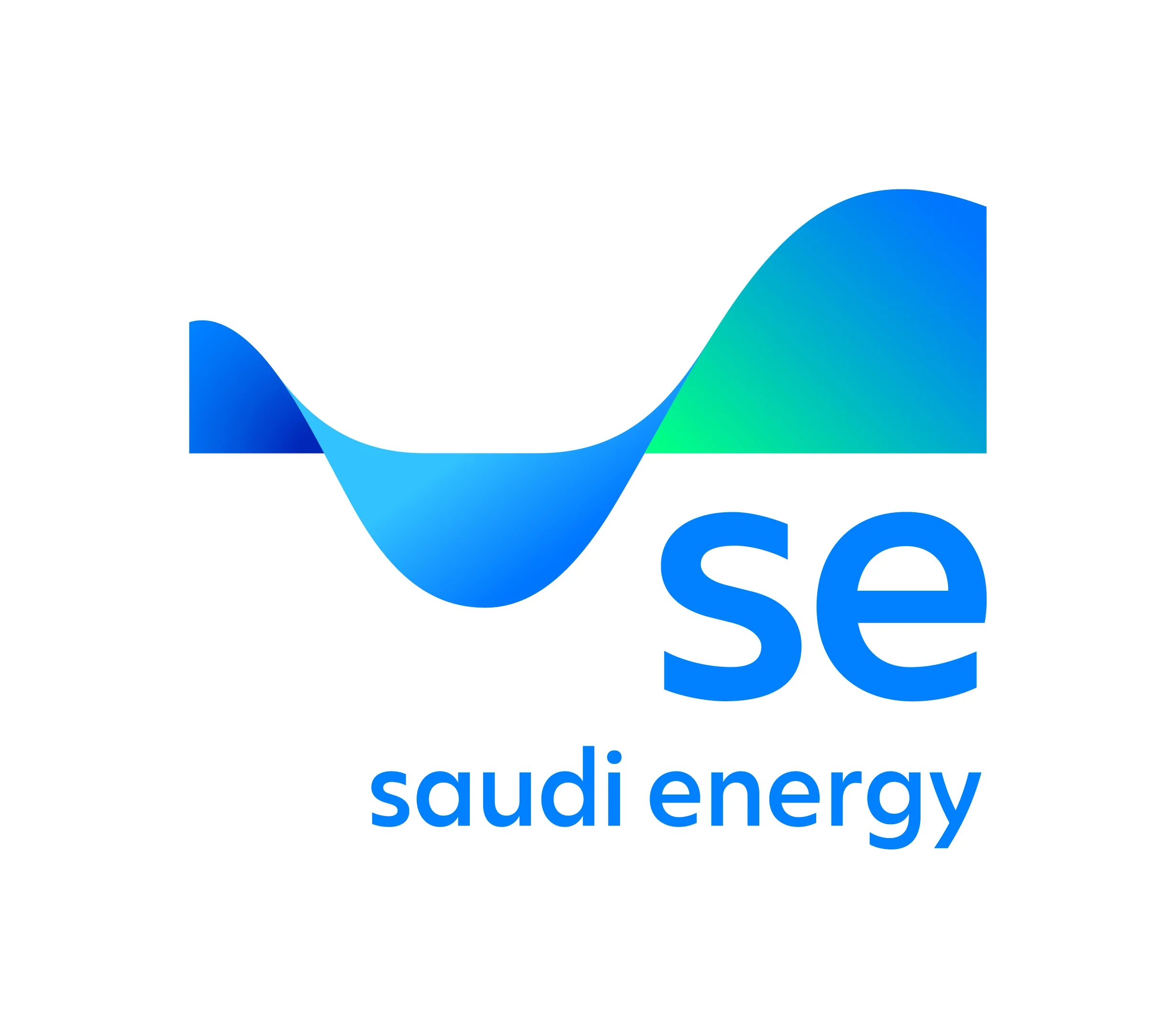 Saudi Energy | Critical Sovereign Infrastructure. One-on-one executive coaching around leadership development, benchmarked against award-winning global standards for enterprise talent transformation.