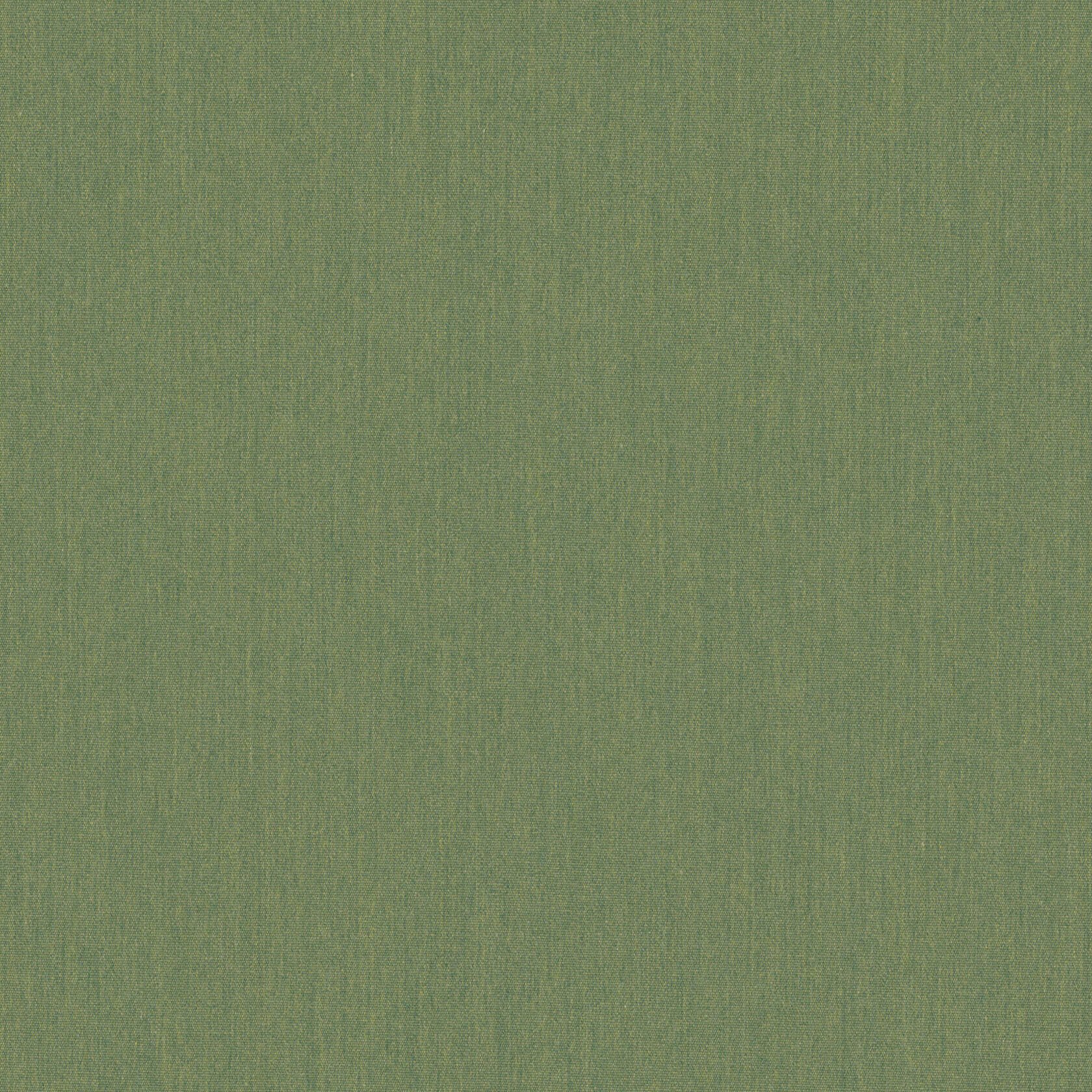 01245 Canvas Meadow