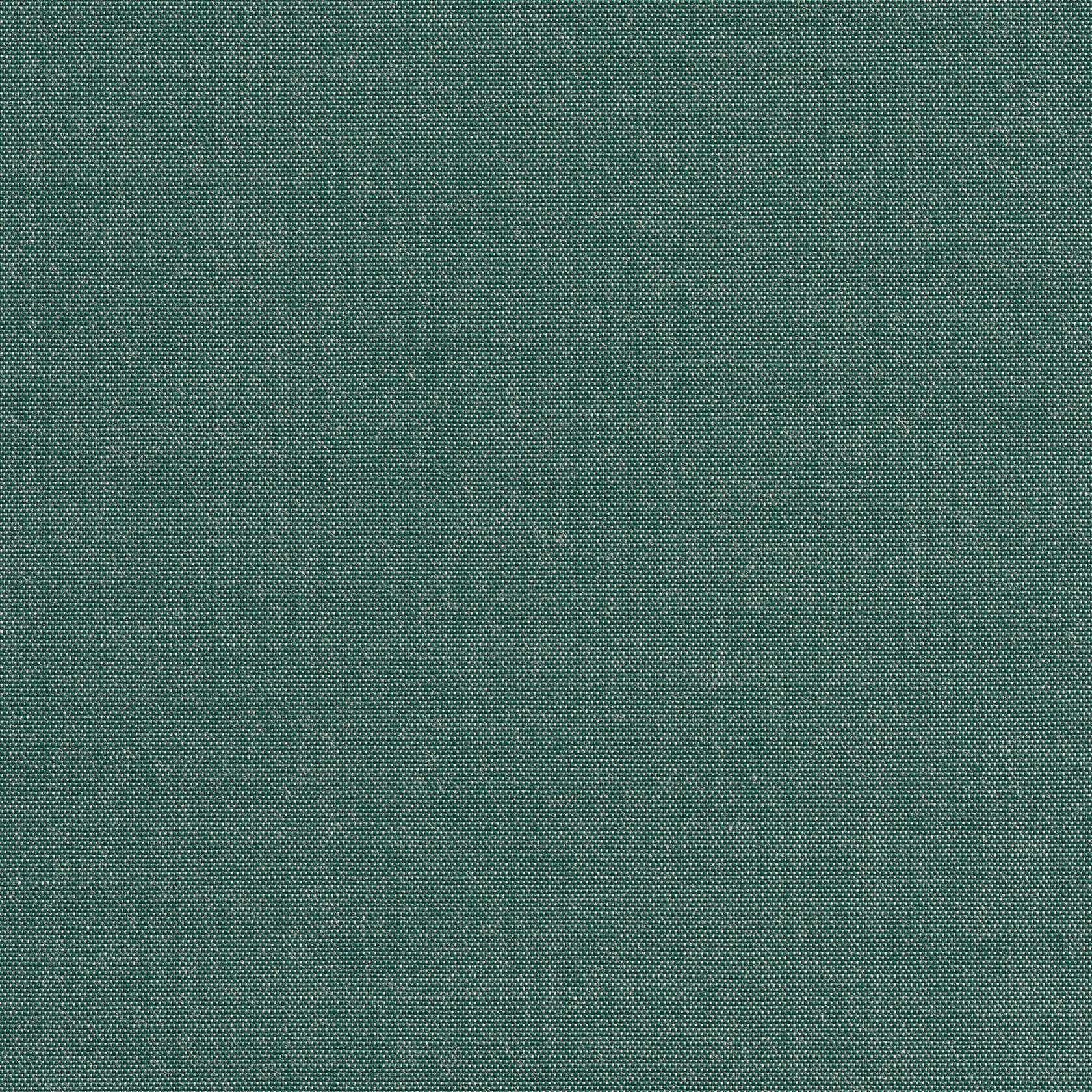 00124 Canvas Shamrock